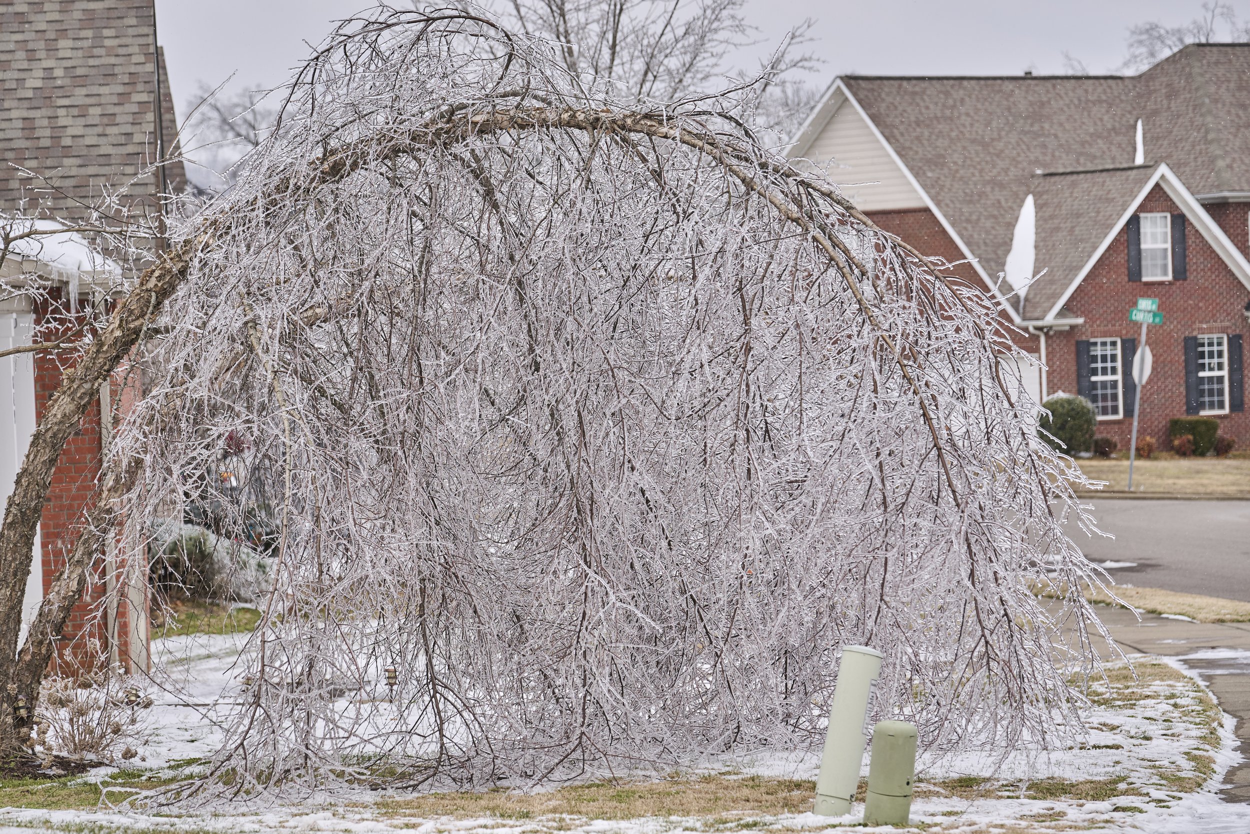 2026.01.30 Nashville Ice Storm Day 5_121.jpg