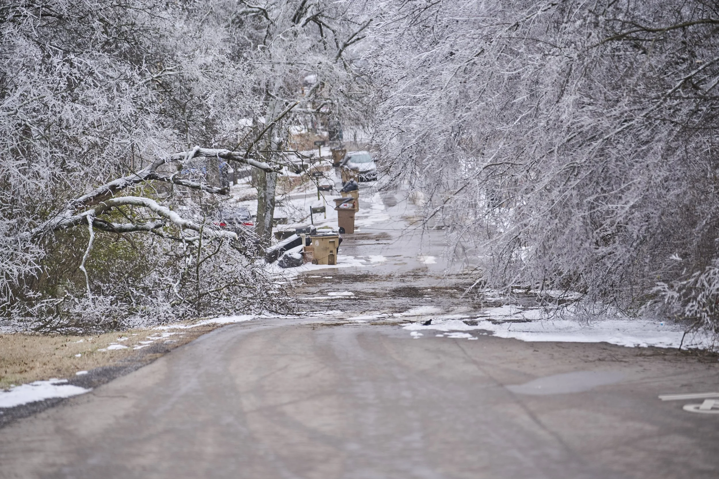 2026.01.30 Nashville Ice Storm Day 5_150.jpg