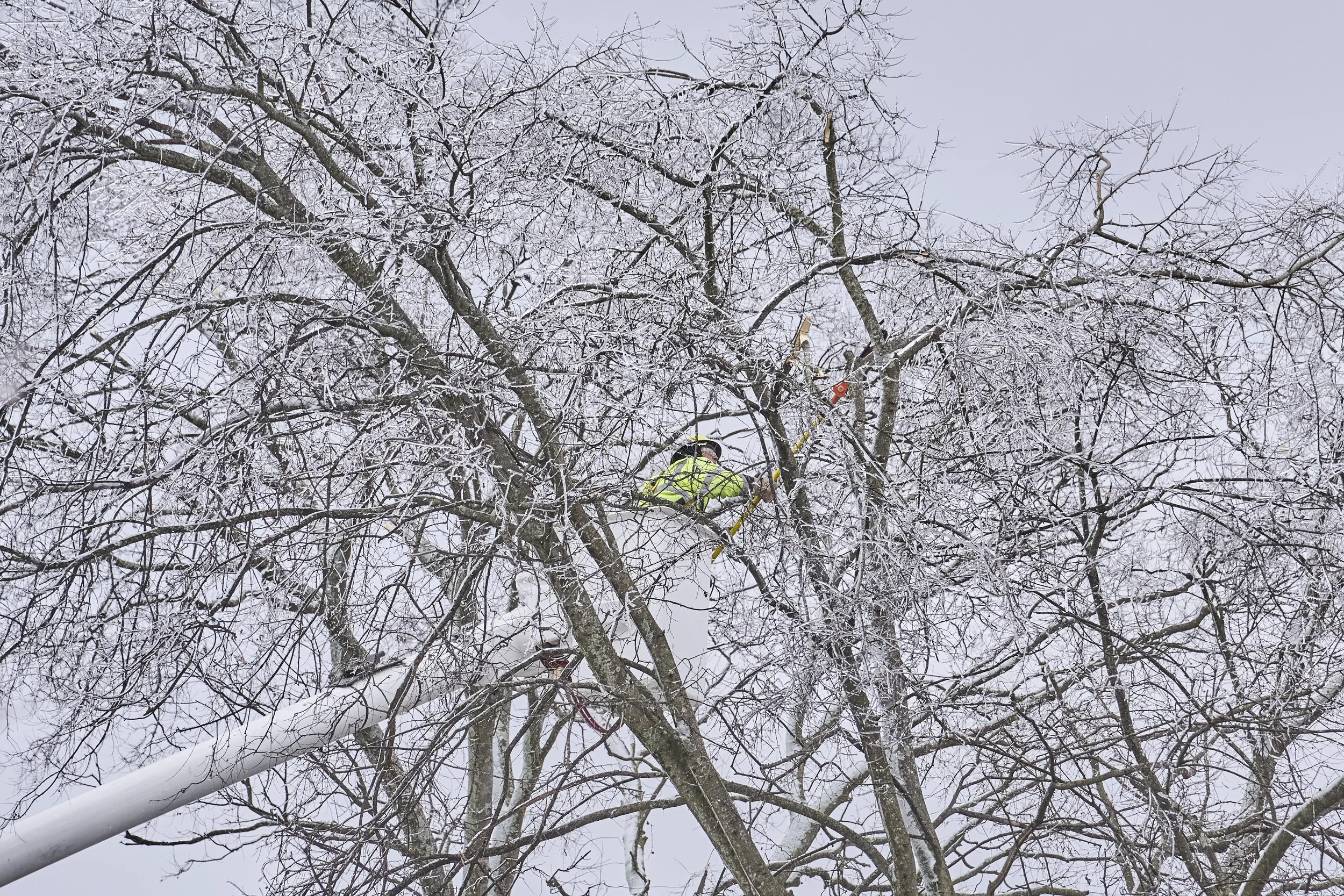 2026.01.30 Nashville Ice Storm Day 5_299.jpg