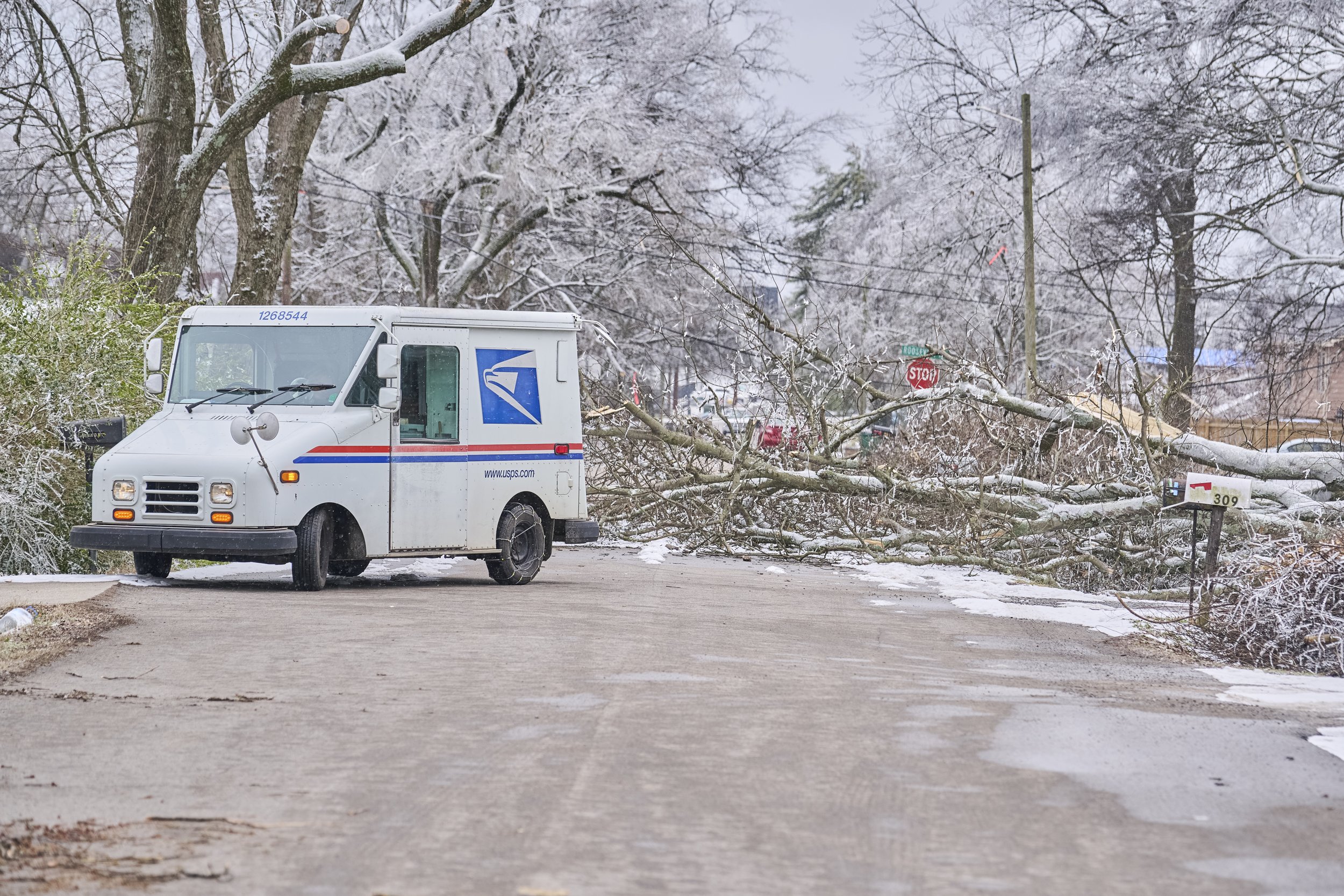 2026.01.30 Nashville Ice Storm Day 5_358.jpg
