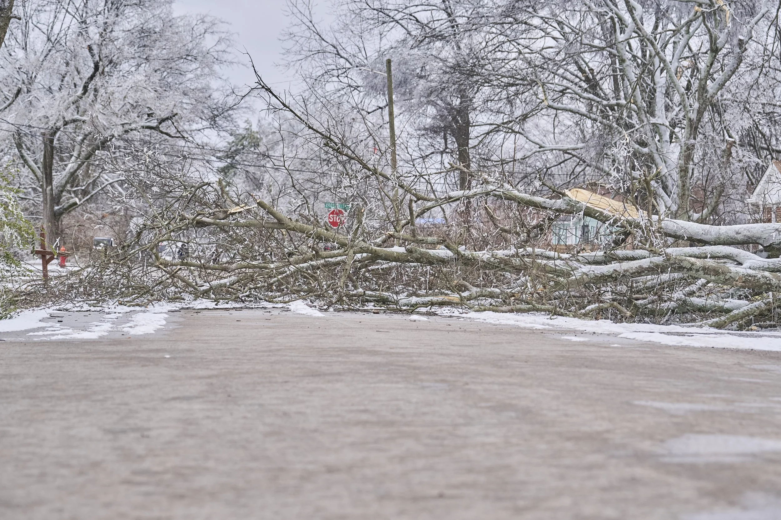 2026.01.30 Nashville Ice Storm Day 5_365.jpg