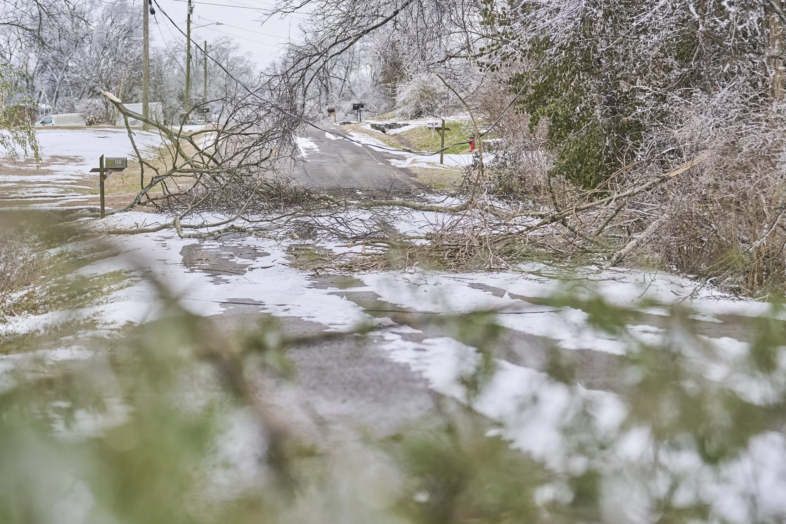 2026.01.30 Nashville Ice Storm Day 5_395.jpg
