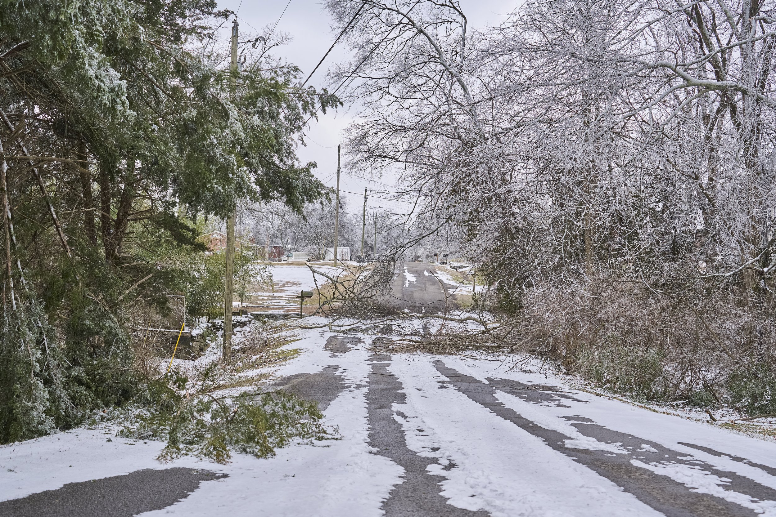 2026.01.30 Nashville Ice Storm Day 5_382.jpg