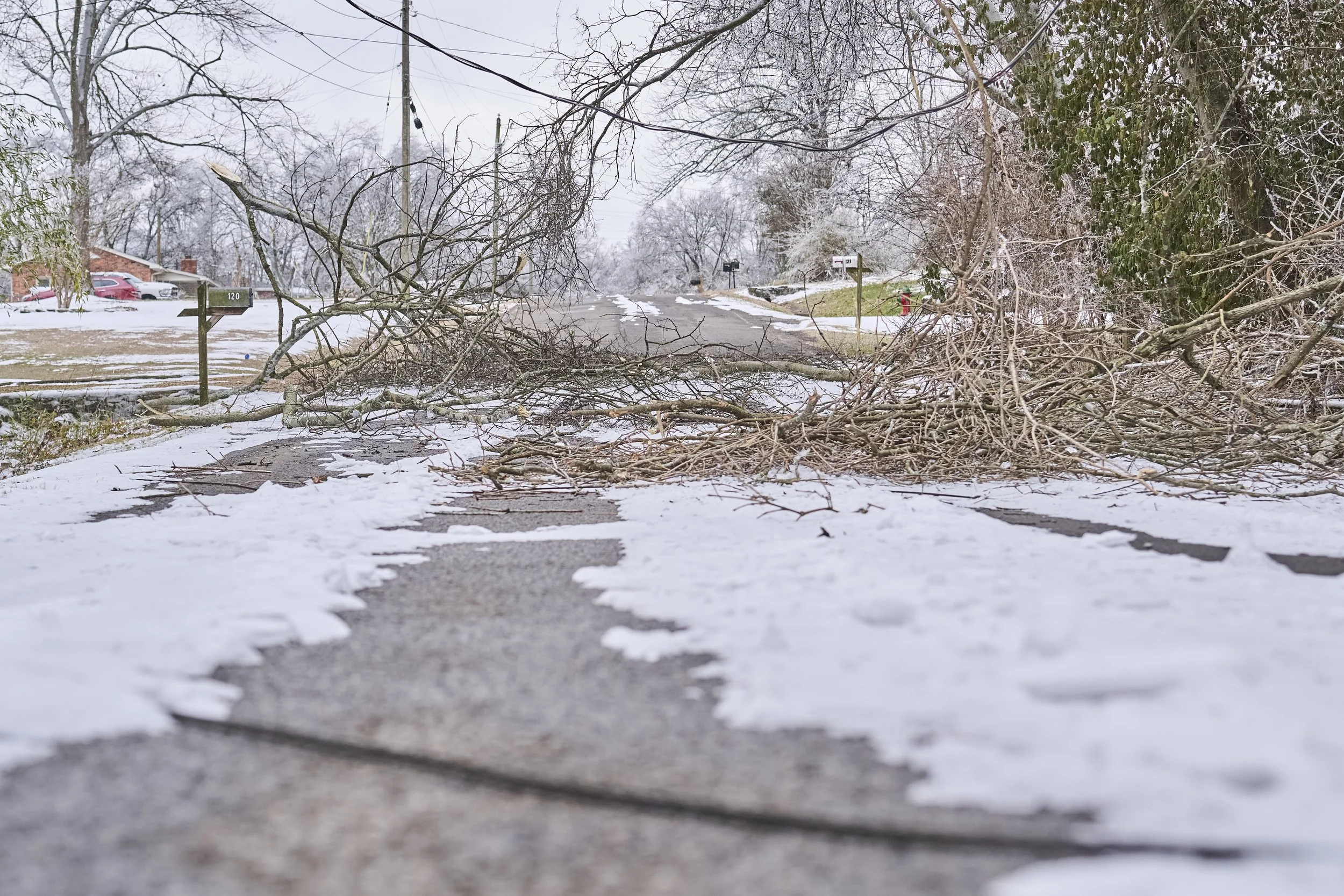 2026.01.30 Nashville Ice Storm Day 5_412.jpg