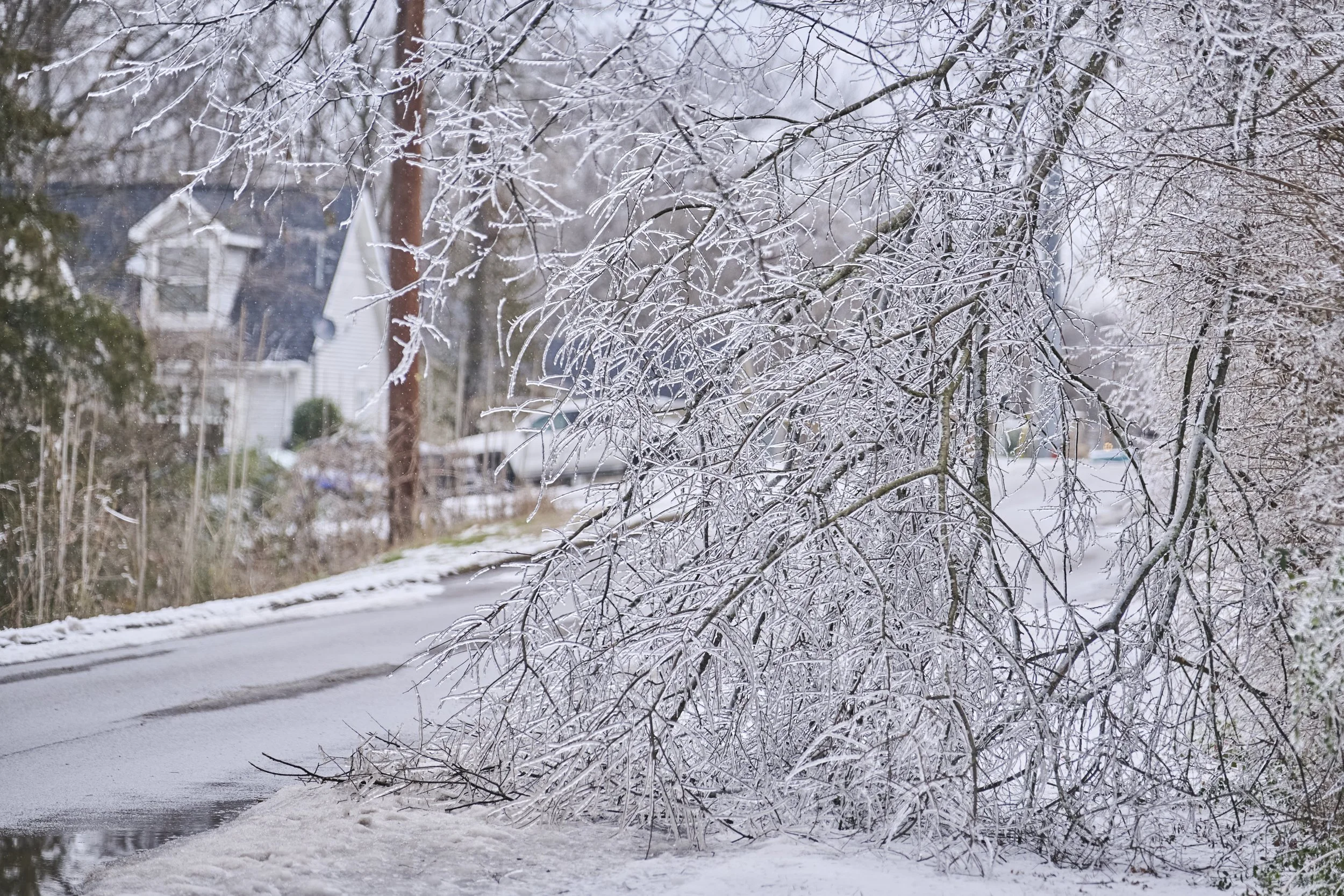 2026.01.30 Nashville Ice Storm Day 5_432.jpg