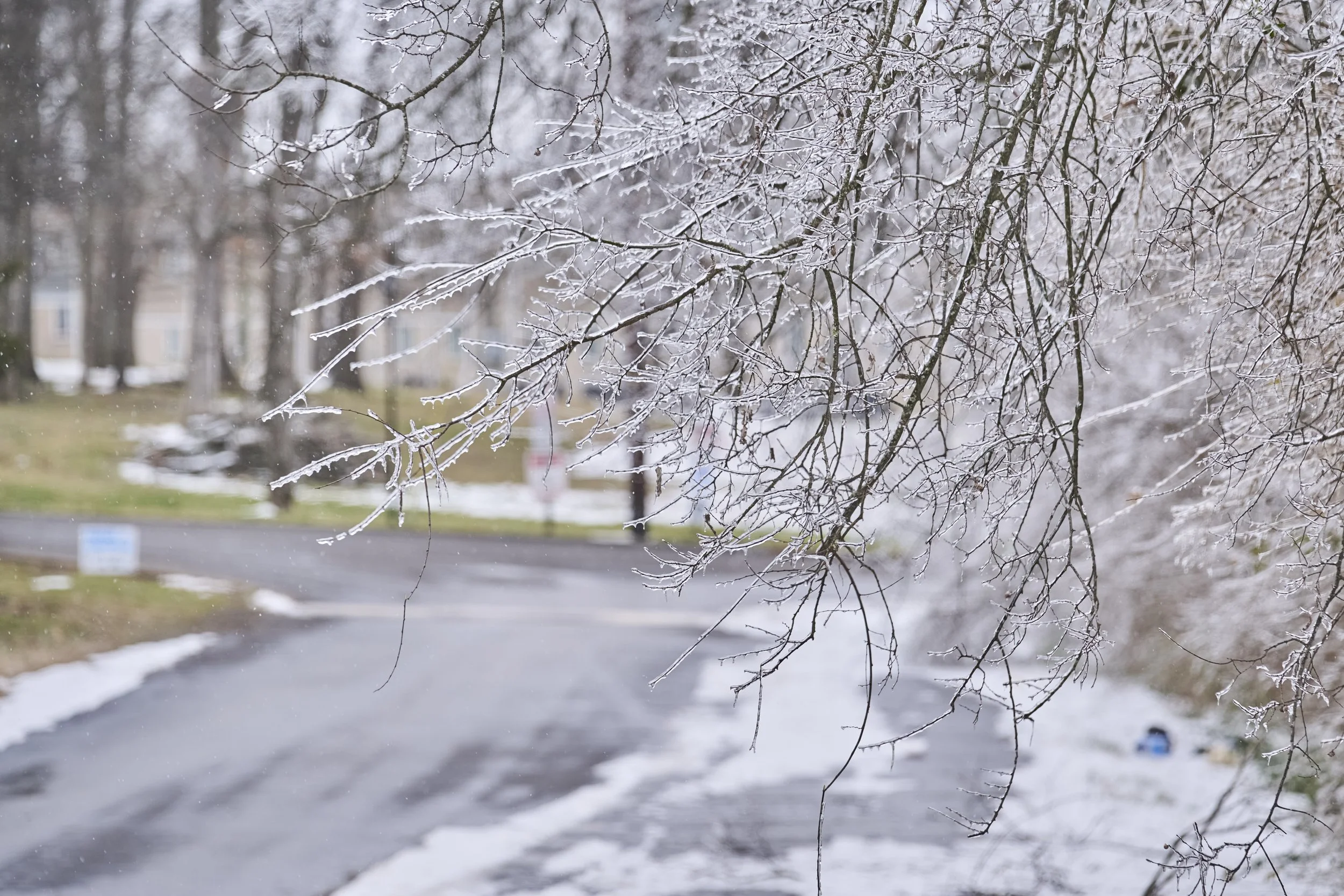 2026.01.30 Nashville Ice Storm Day 5_443.jpg