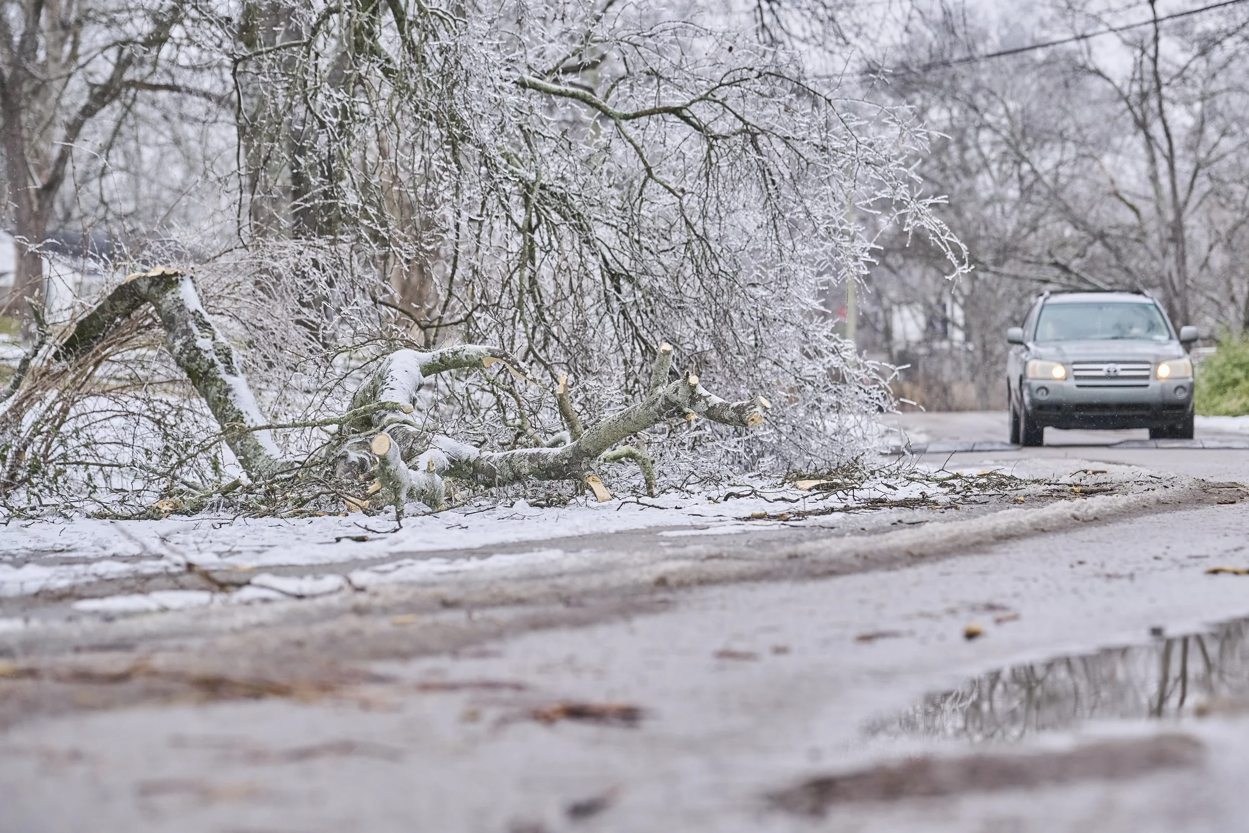 2026.01.30 Nashville Ice Storm Day 5_492.jpg