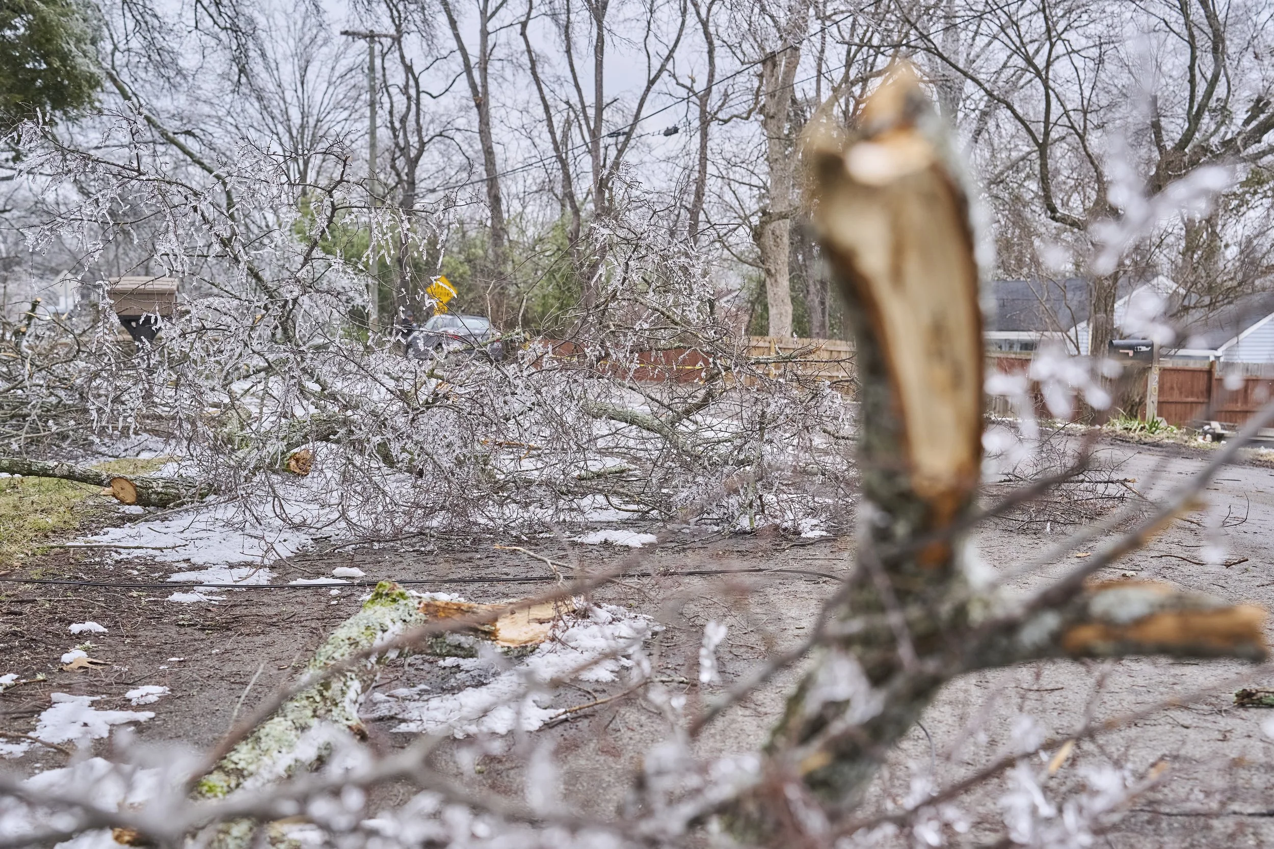 2026.01.30 Nashville Ice Storm Day 5_477.jpg