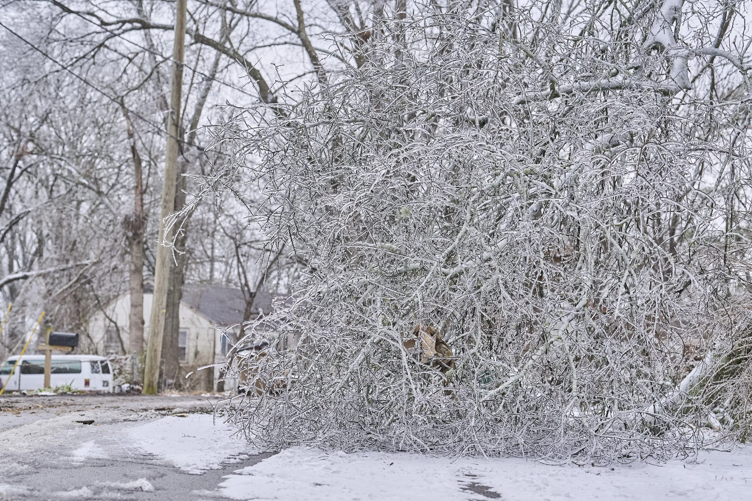 2026.01.30 Nashville Ice Storm Day 5_529.jpg