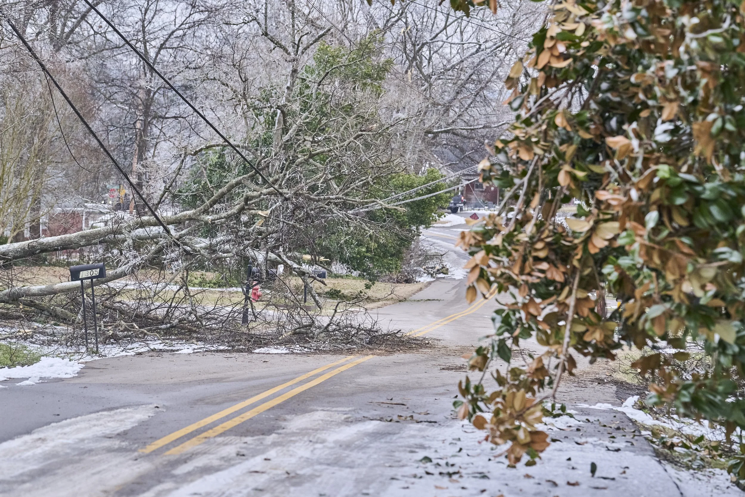 2026.01.30 Nashville Ice Storm Day 5_739.jpg