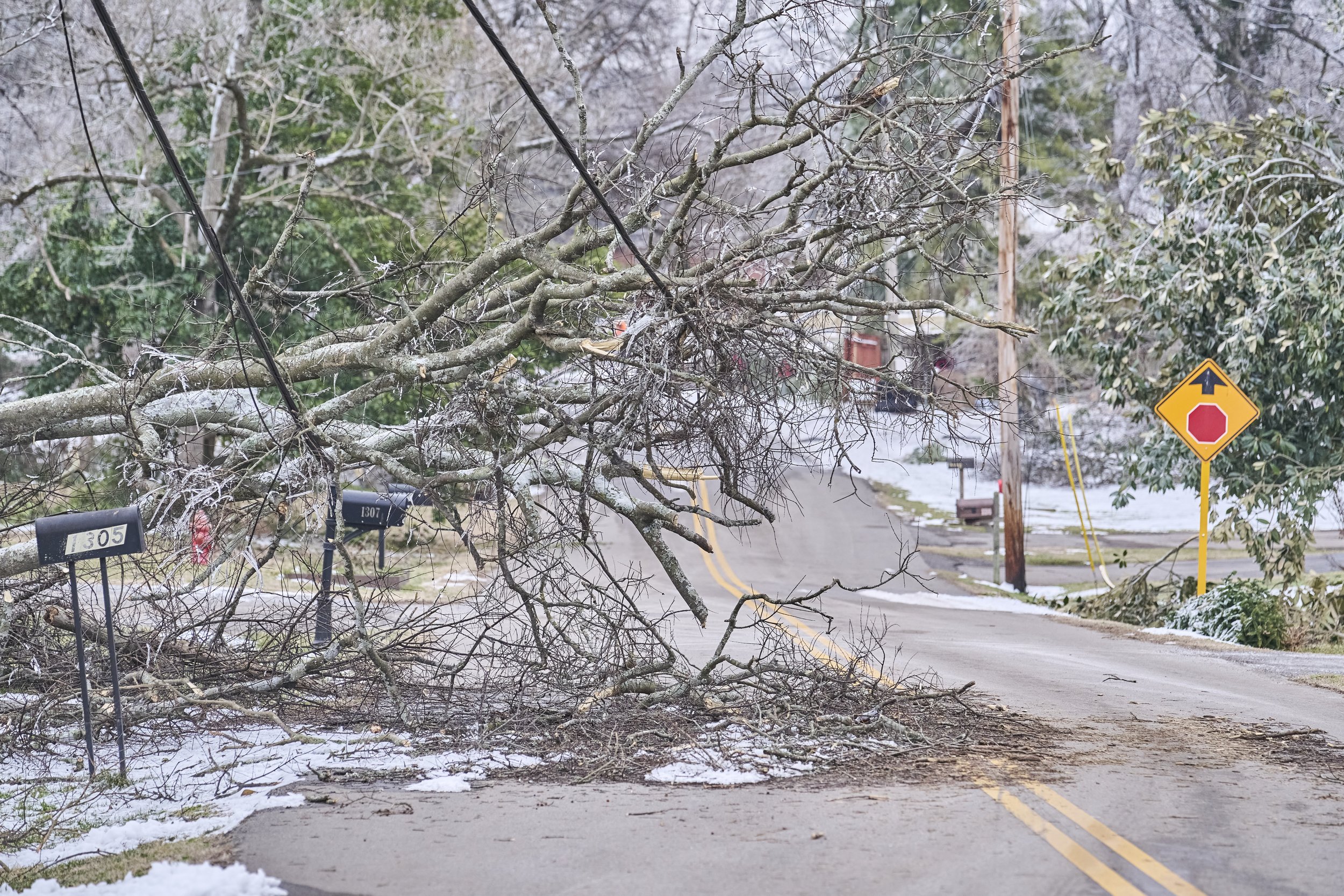 2026.01.30 Nashville Ice Storm Day 5_745.jpg