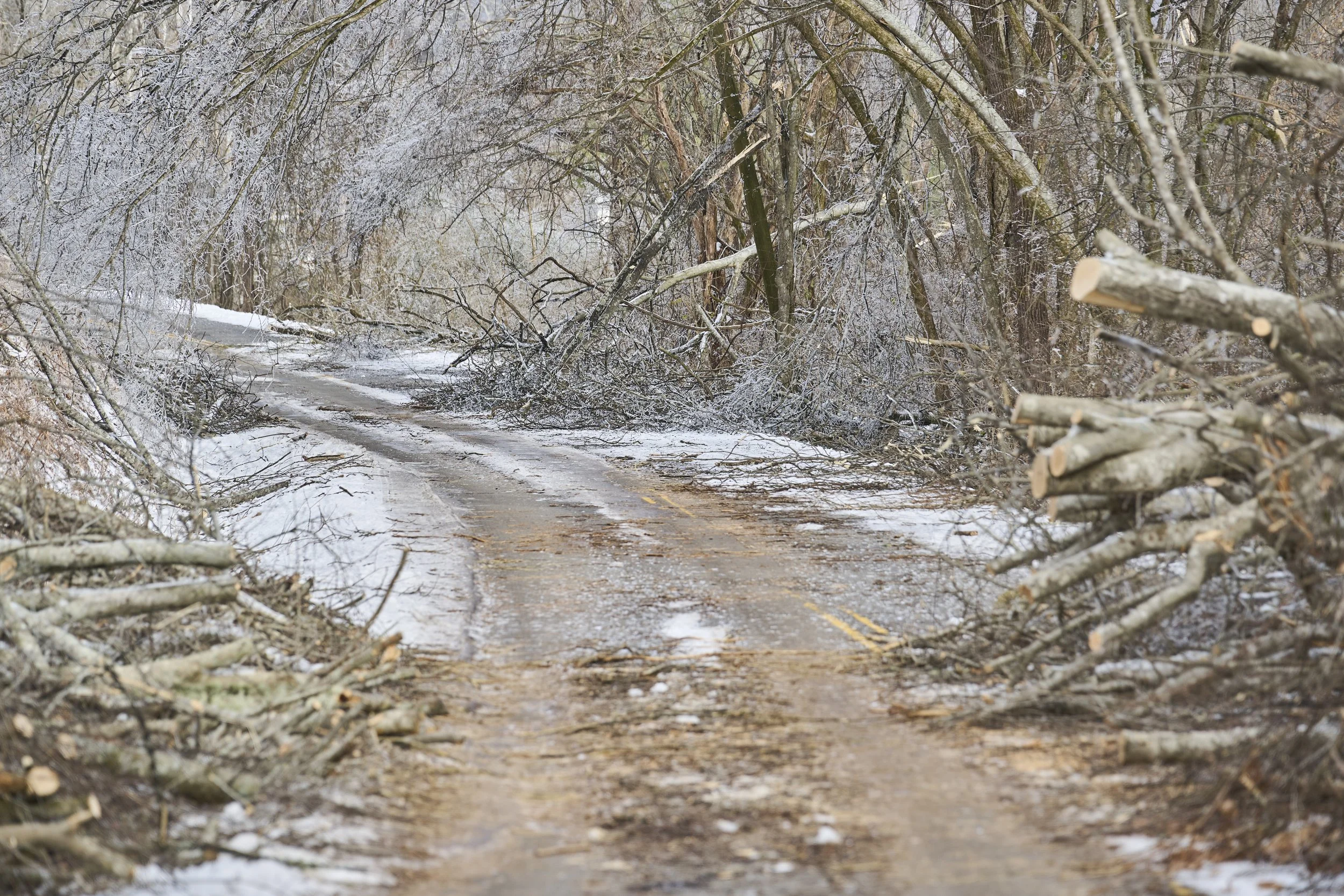 2026.01.31 Nashville Ice Storm Day 6_004.jpg