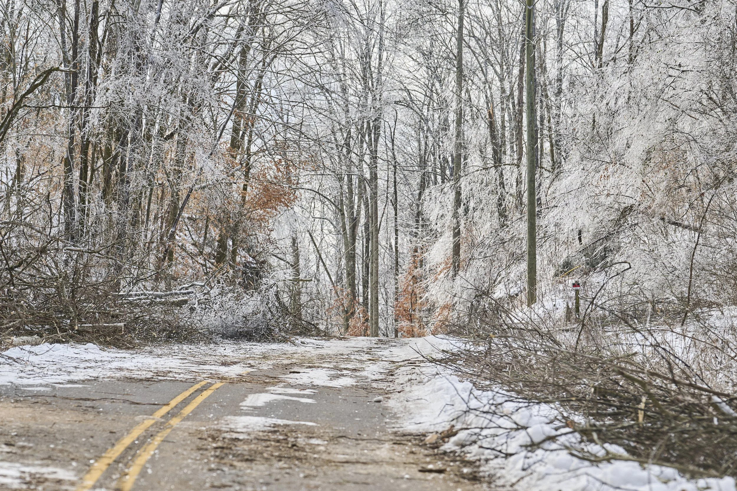 2026.01.31 Nashville Ice Storm Day 6_009.jpg