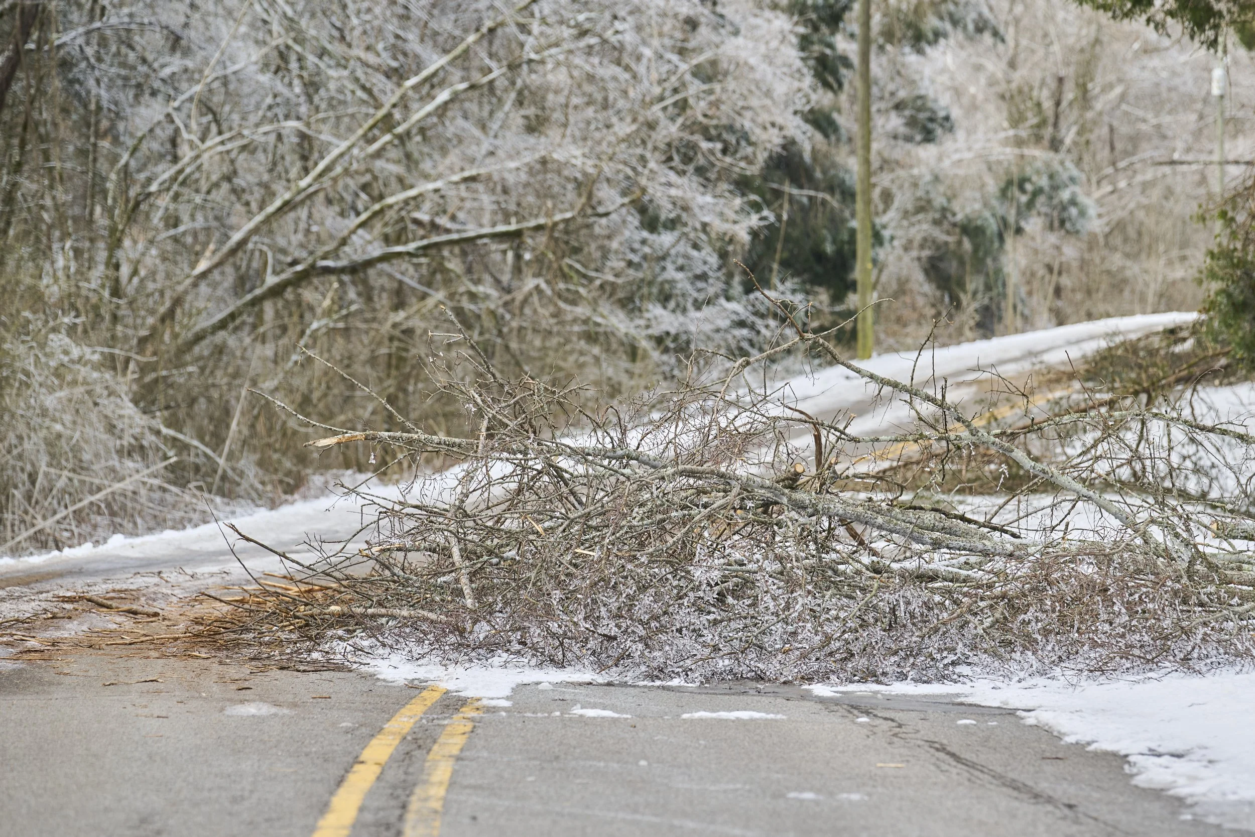 2026.01.31 Nashville Ice Storm Day 6_025.jpg