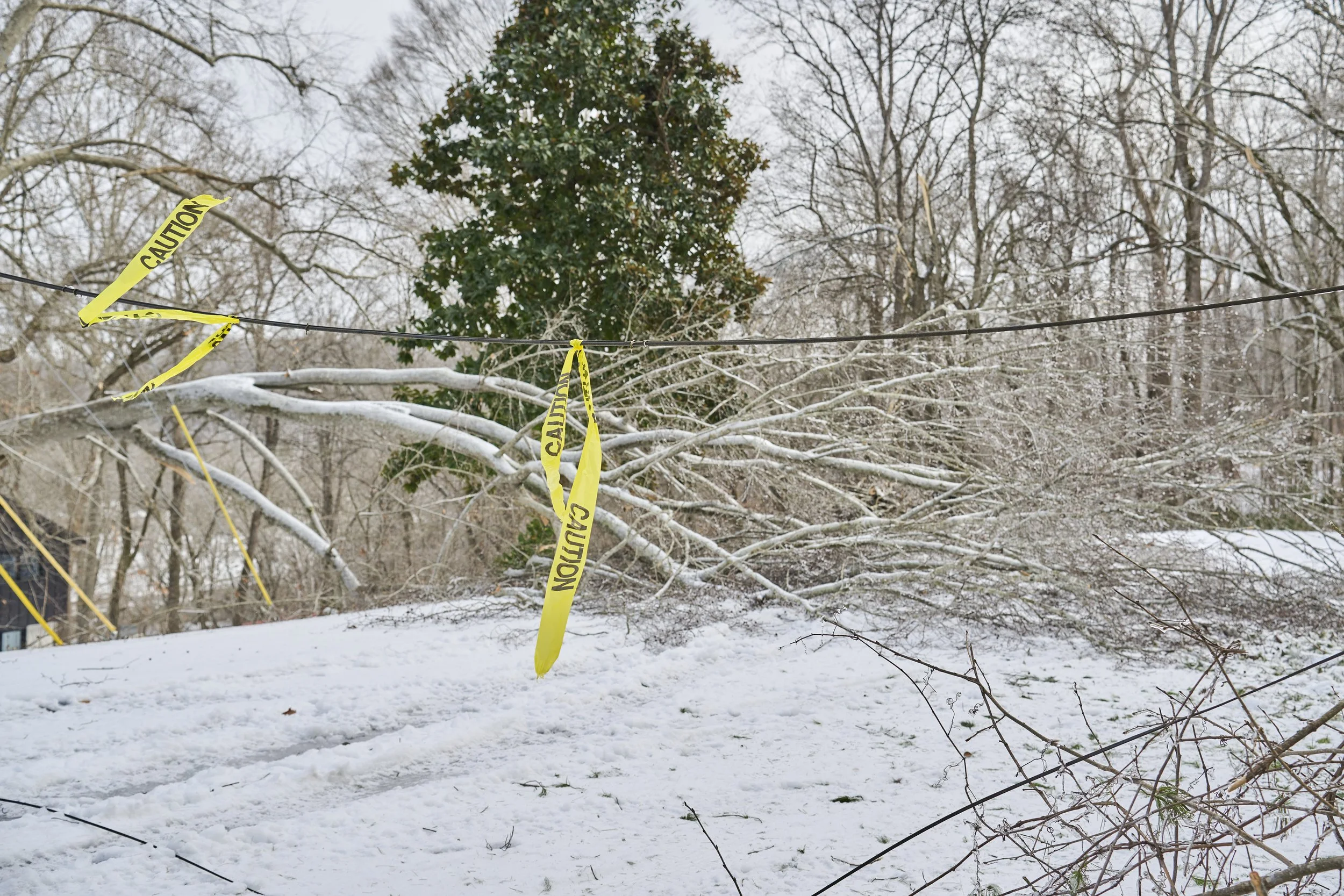2026.01.31 Nashville Ice Storm Day 6_039.jpg