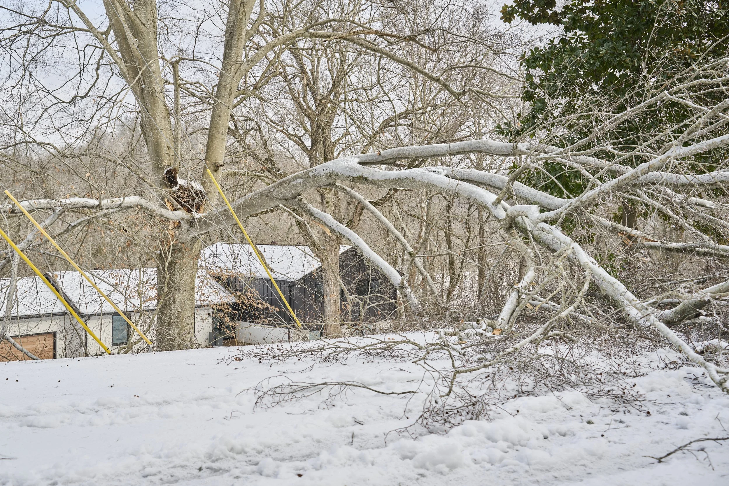 2026.01.31 Nashville Ice Storm Day 6_053.jpg