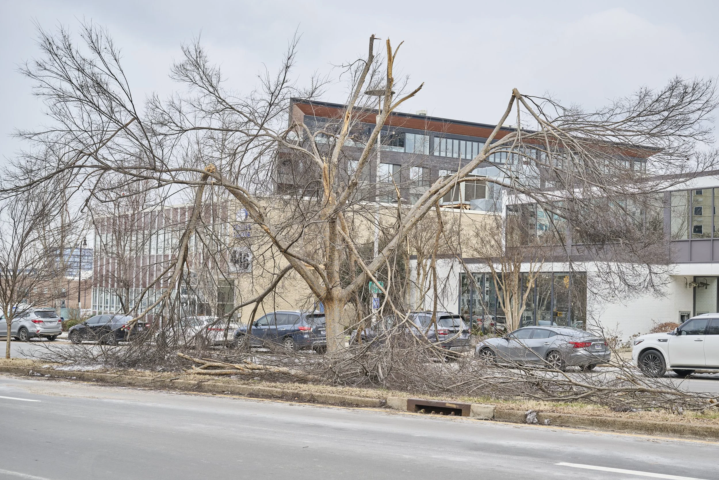 2026.01.31 Nashville Ice Storm Day 6_131.jpg