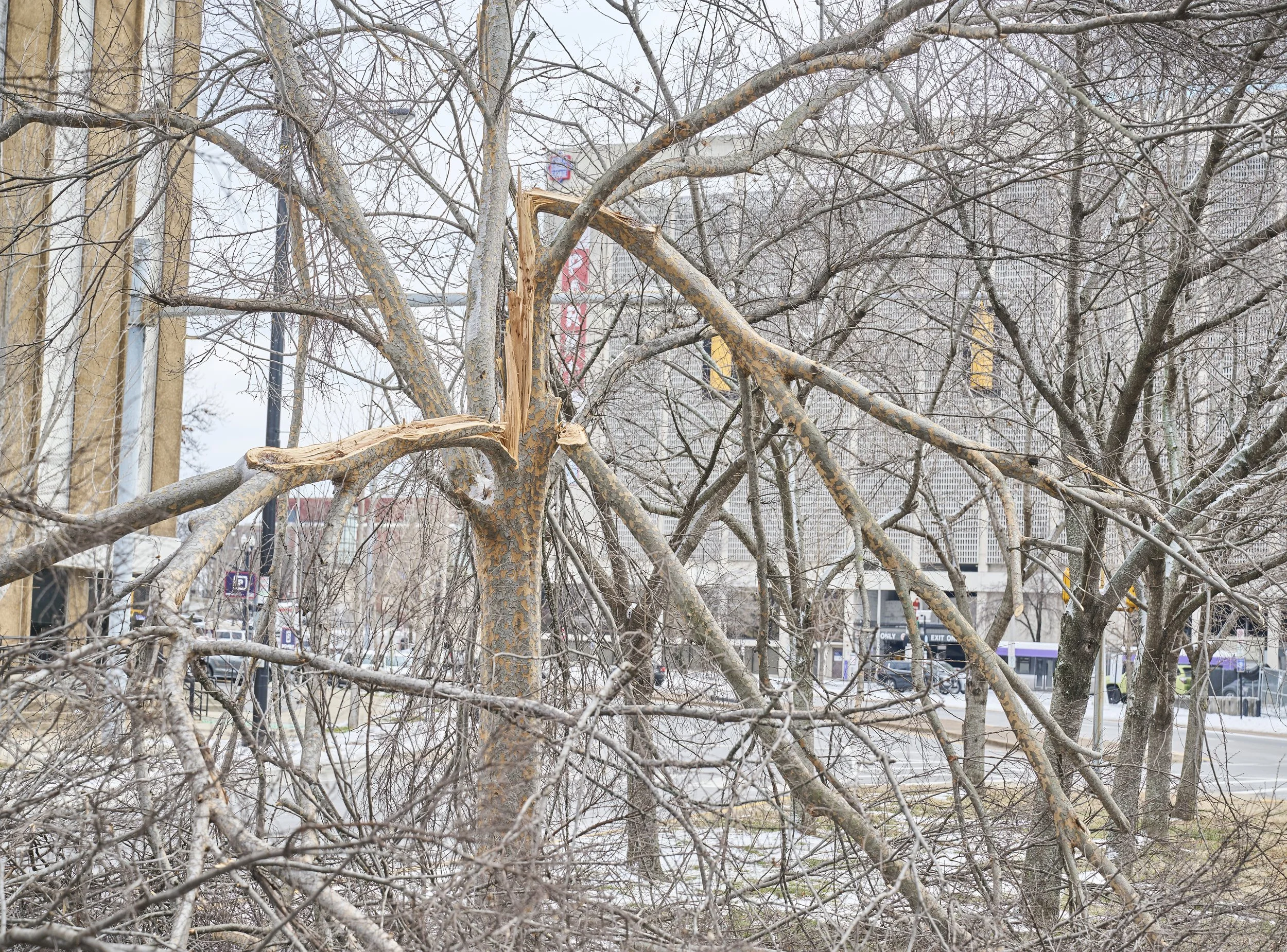 2026.01.31 Nashville Ice Storm Day 6_149.jpg