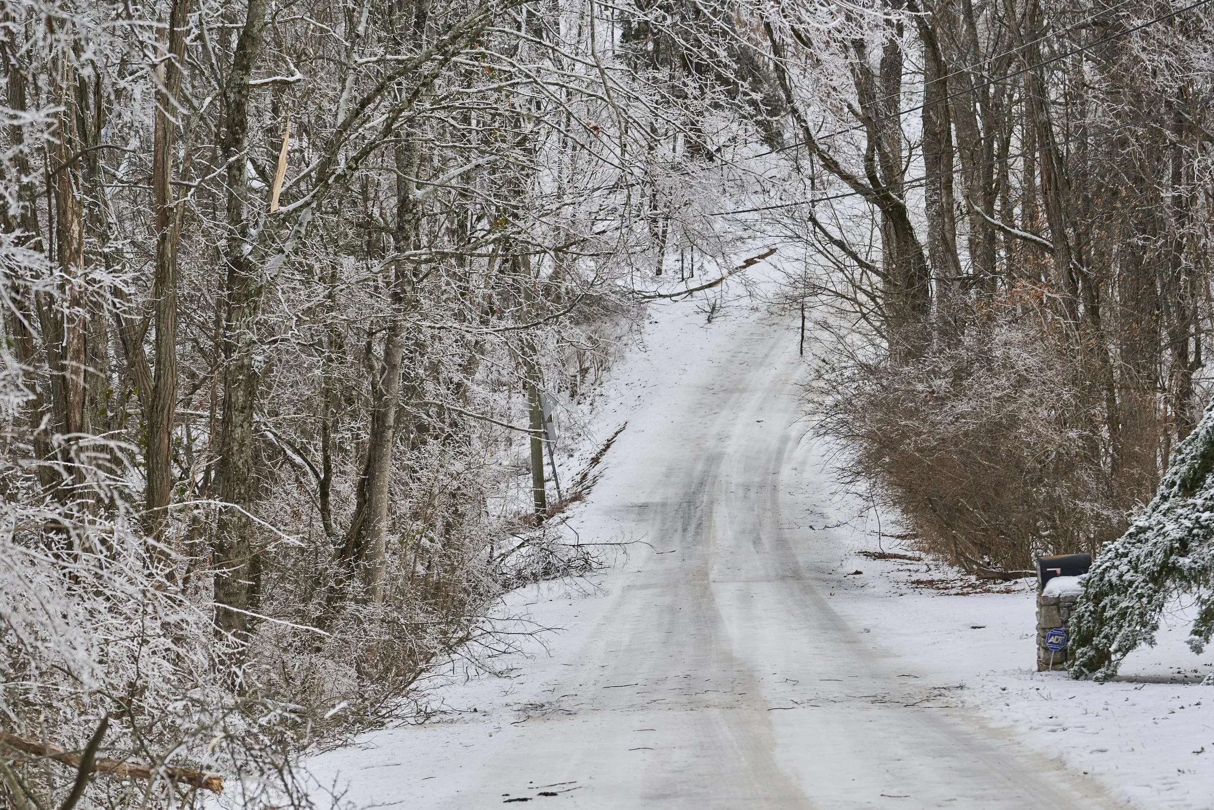 2026.01.31 Nashville Ice Storm Day 6_349.jpg