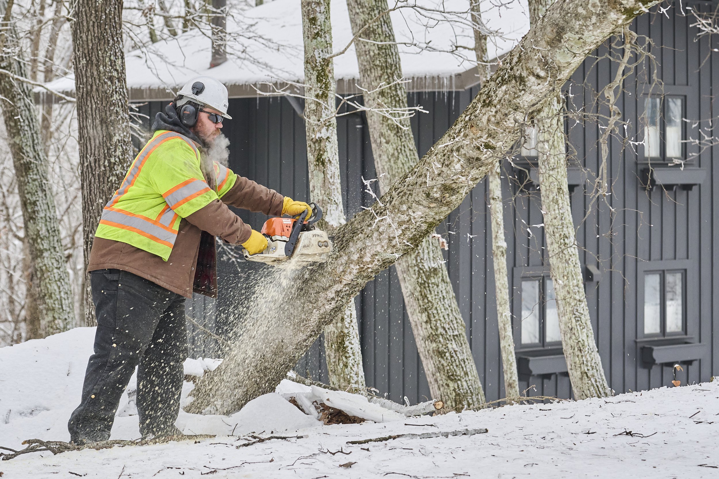 2026.01.31 Nashville Ice Storm Day 6_419.jpg