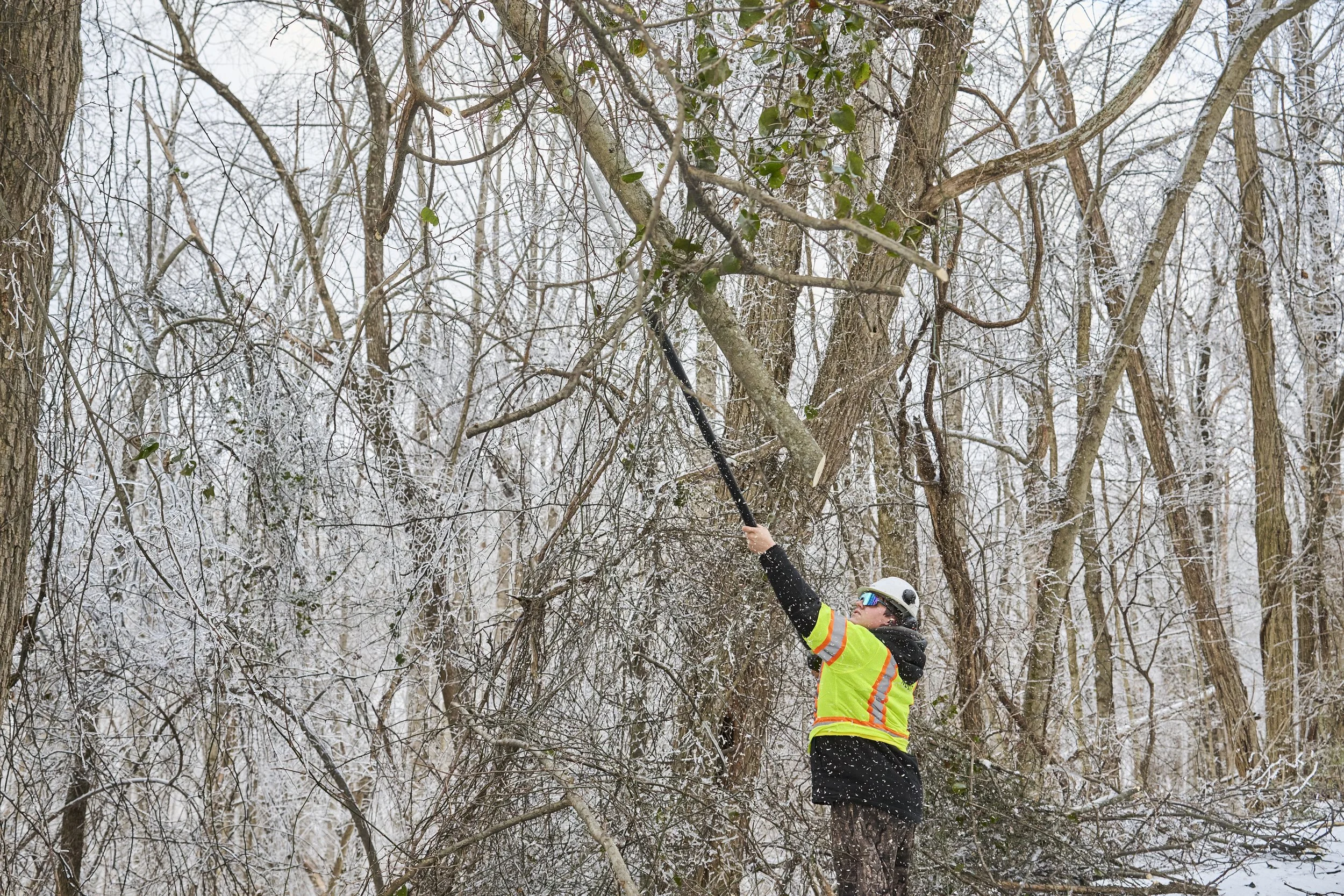2026.01.31 Nashville Ice Storm Day 6_733.jpg