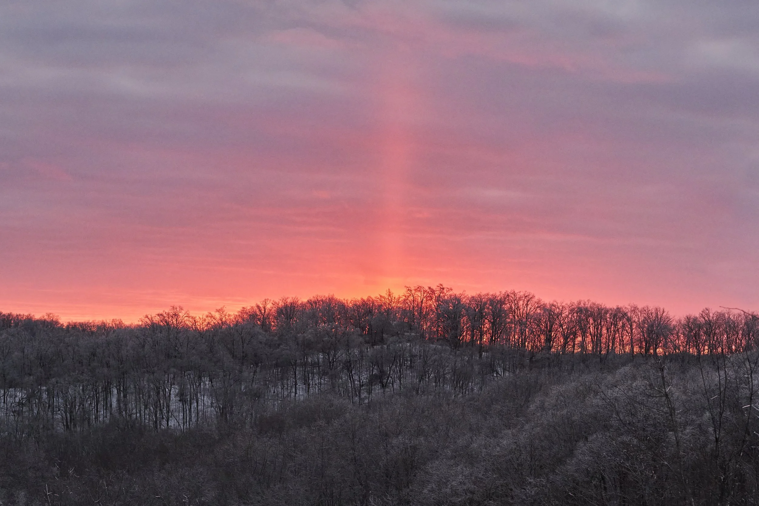 2026.01.31 Nashville Ice Storm Day 6_1074.jpg