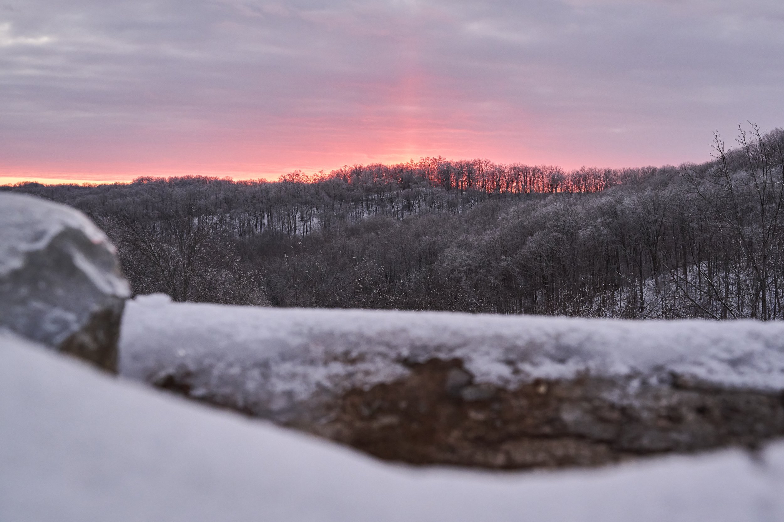 2026.01.31 Nashville Ice Storm Day 6_1111.jpg