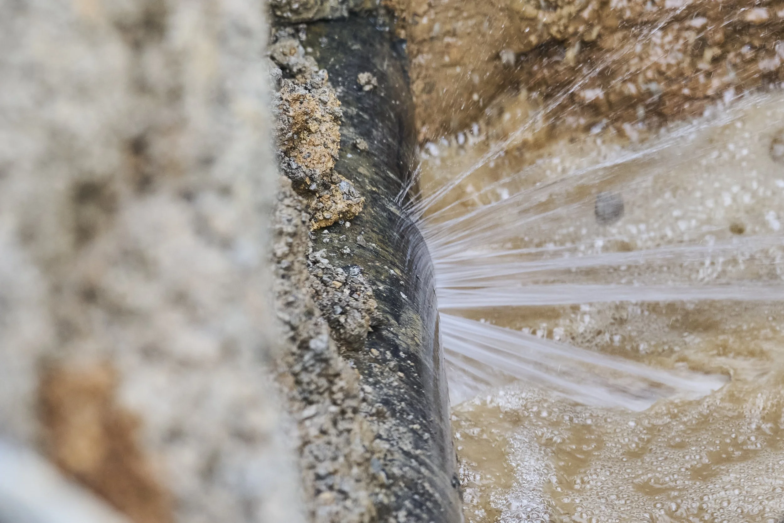 2026.02.01 Metro Water Services_353.jpg