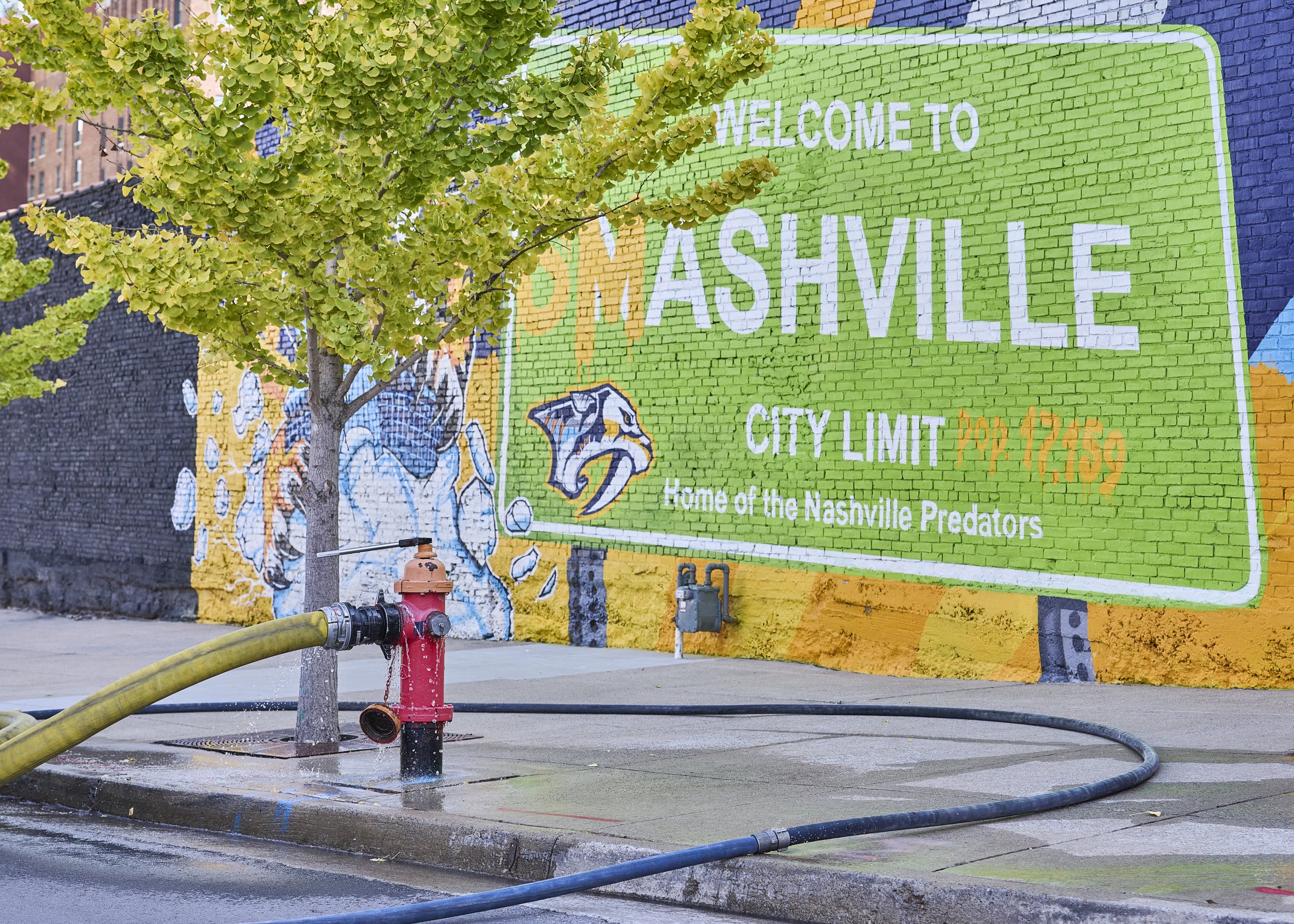 2024.11.23 Puff & Hit Fire_1377.jpg