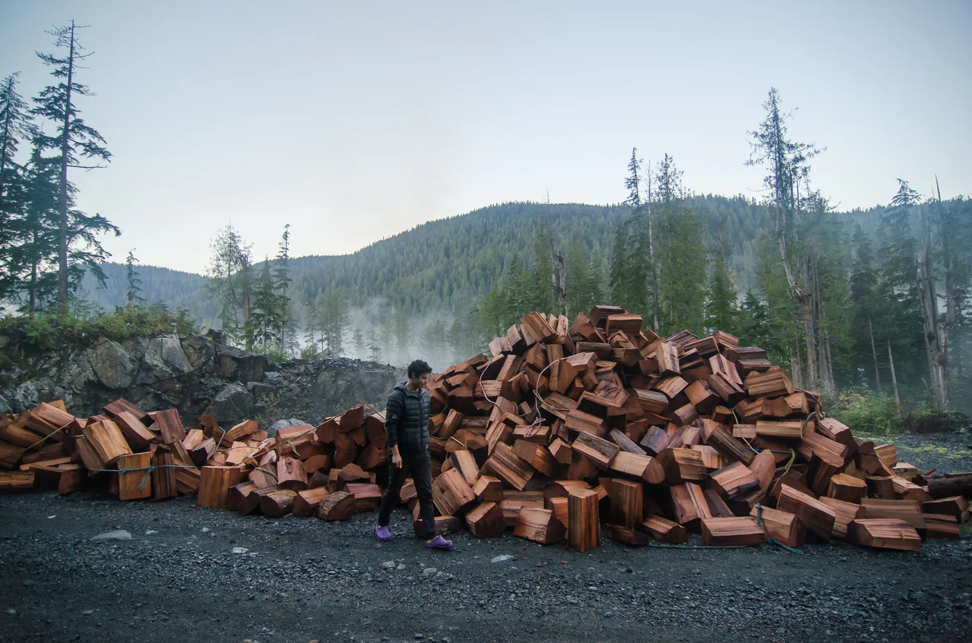 Shakeblocks in the Walbran Valley. These blocks will be used for roofing shingles.