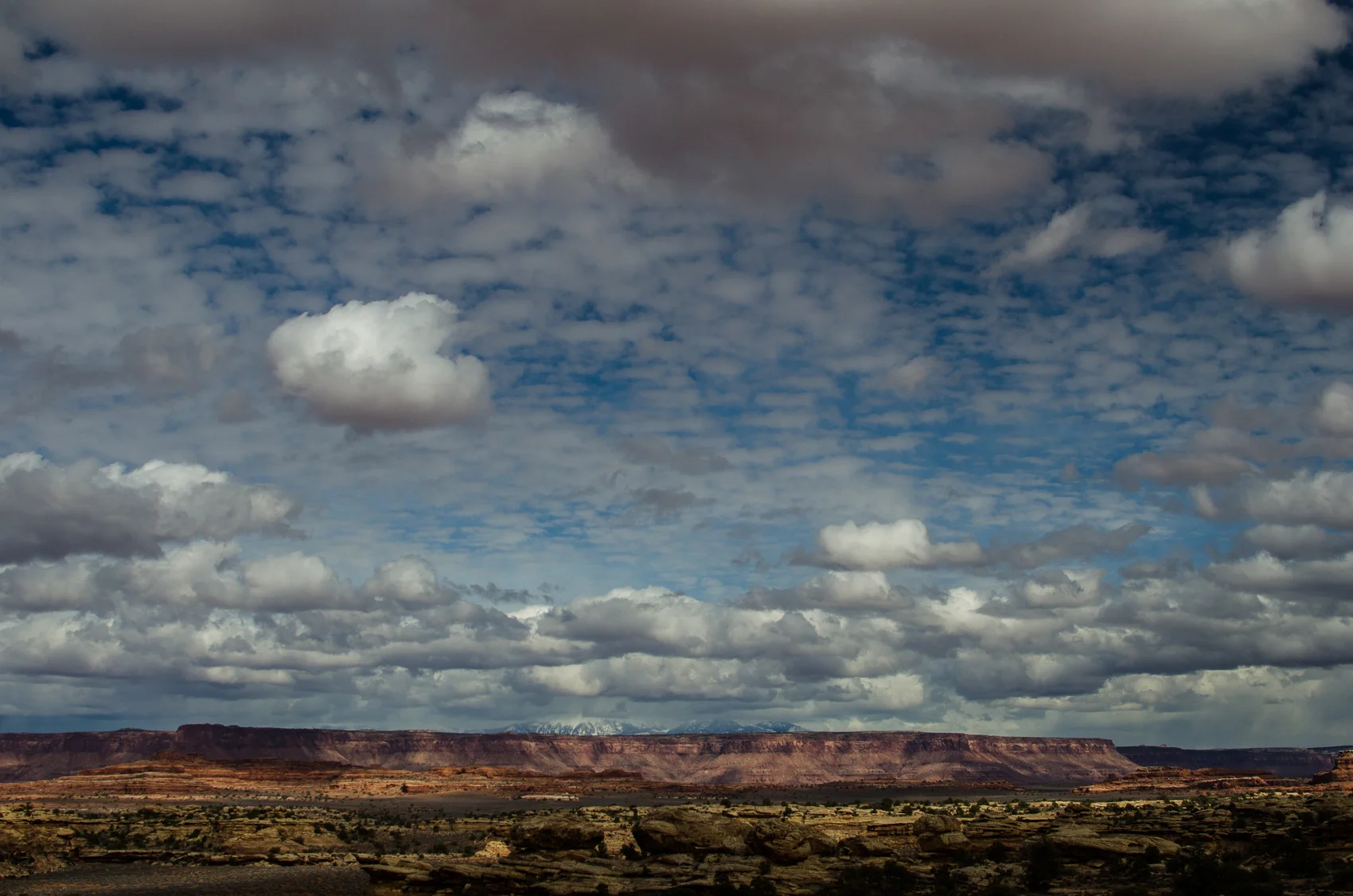 DSC_6410.jpg