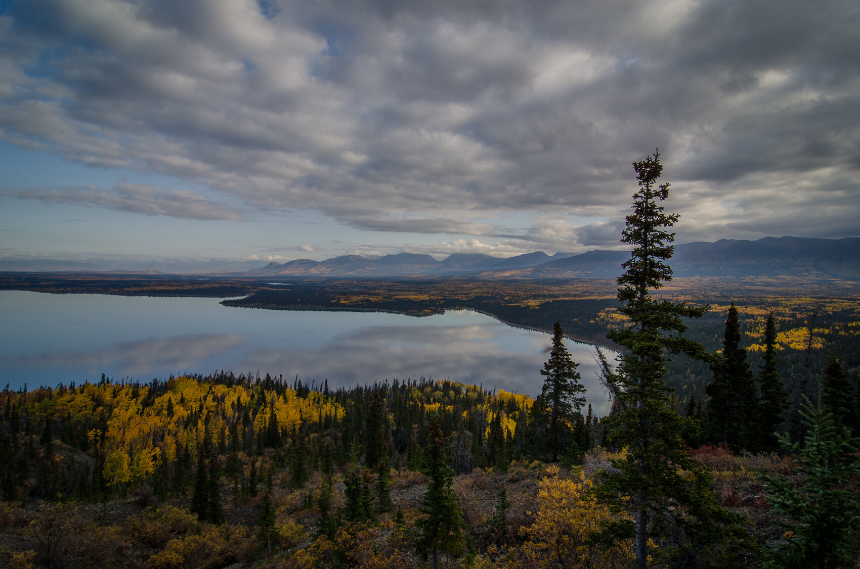 07-DSC_7368.jpg