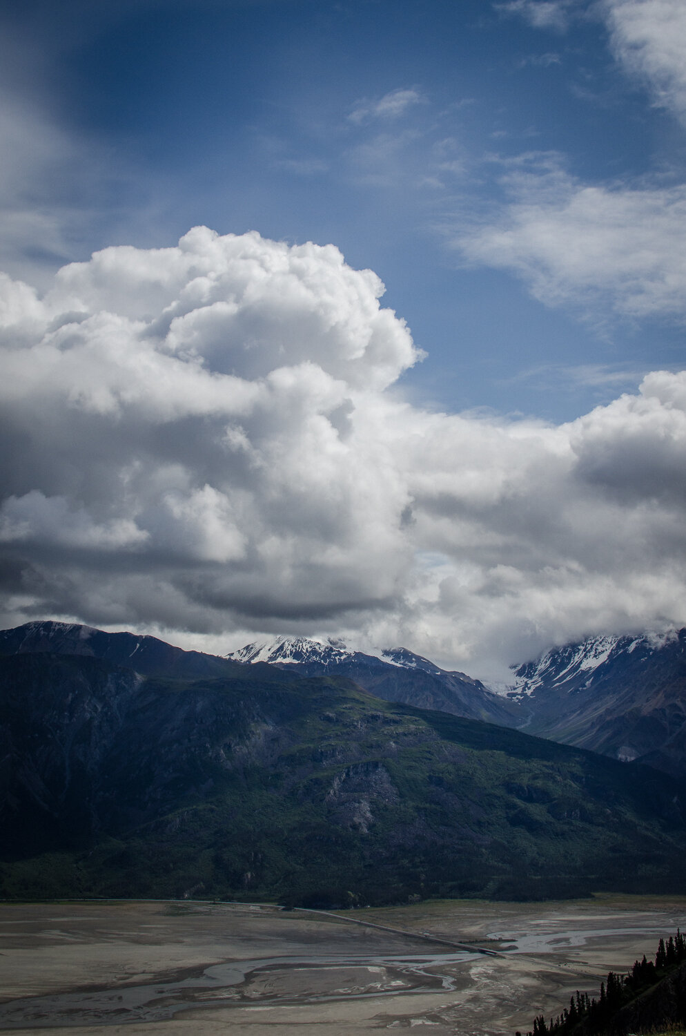 08-DSC_8541.jpg