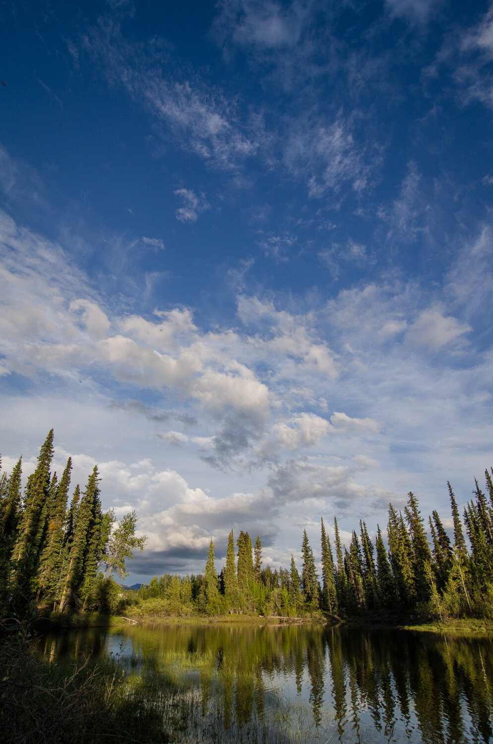 11-DSC_8598.jpg