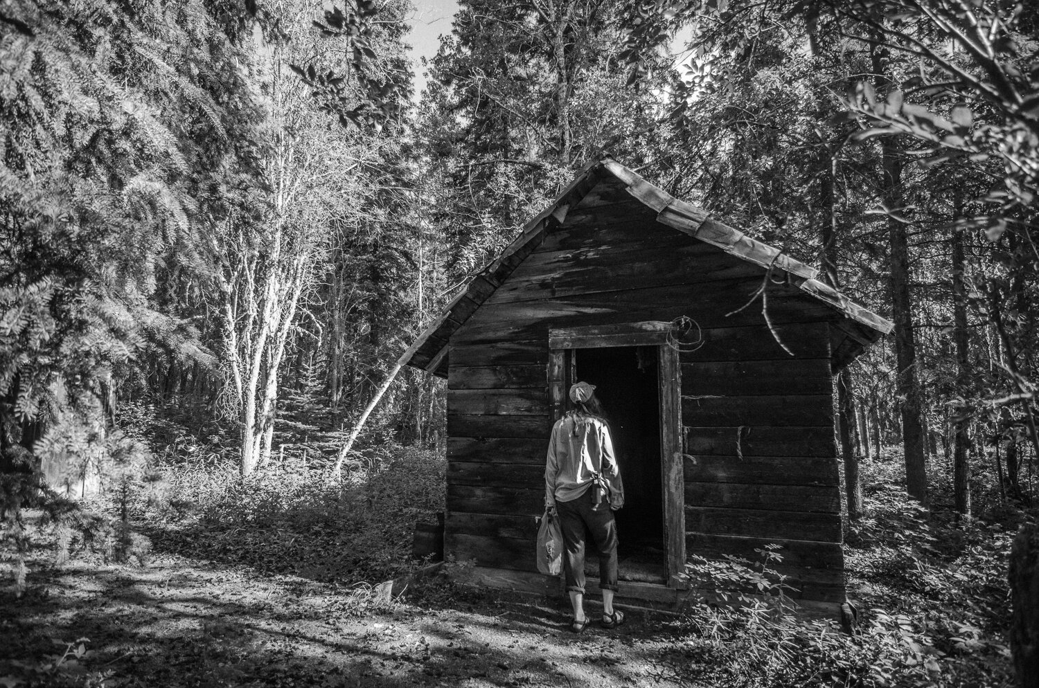 An abandoned cabin on the Teslin