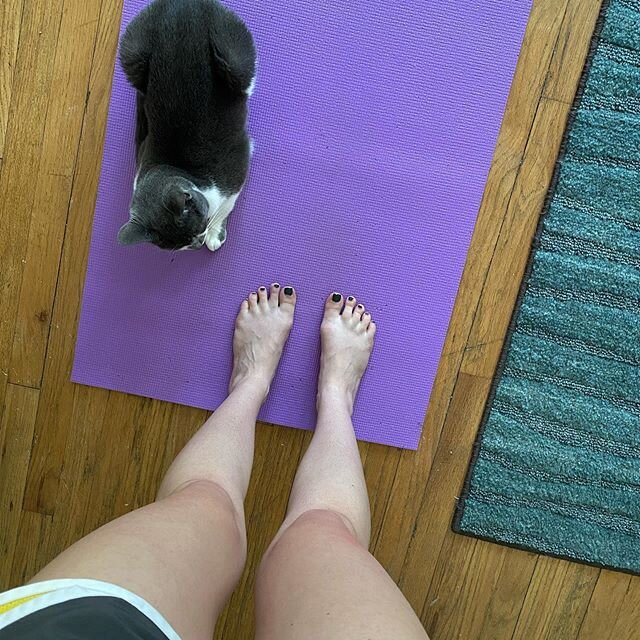 If your furry friends don&rsquo;t help with your home workout, did you even do it? 🐾💪🏼😜