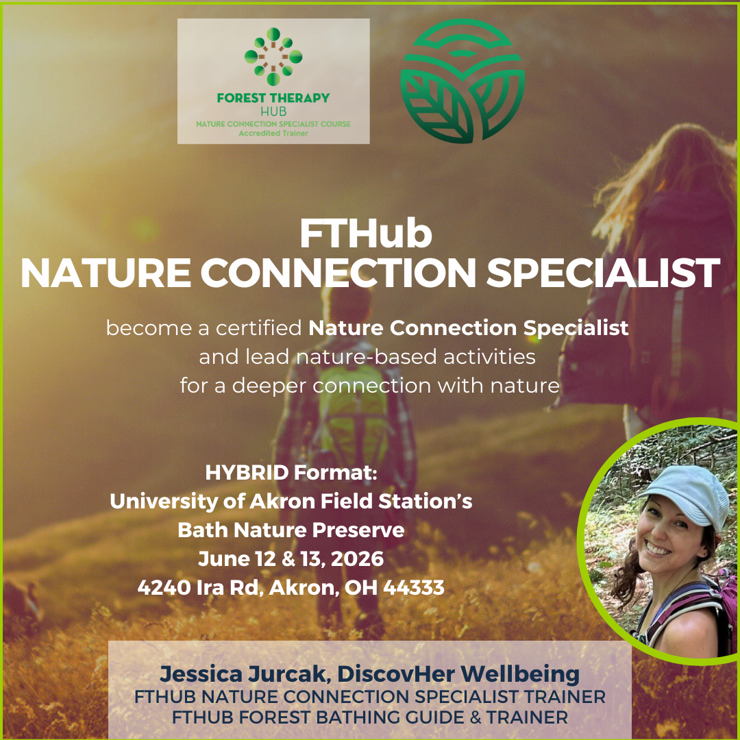 NCS June 1213 IG.PNG