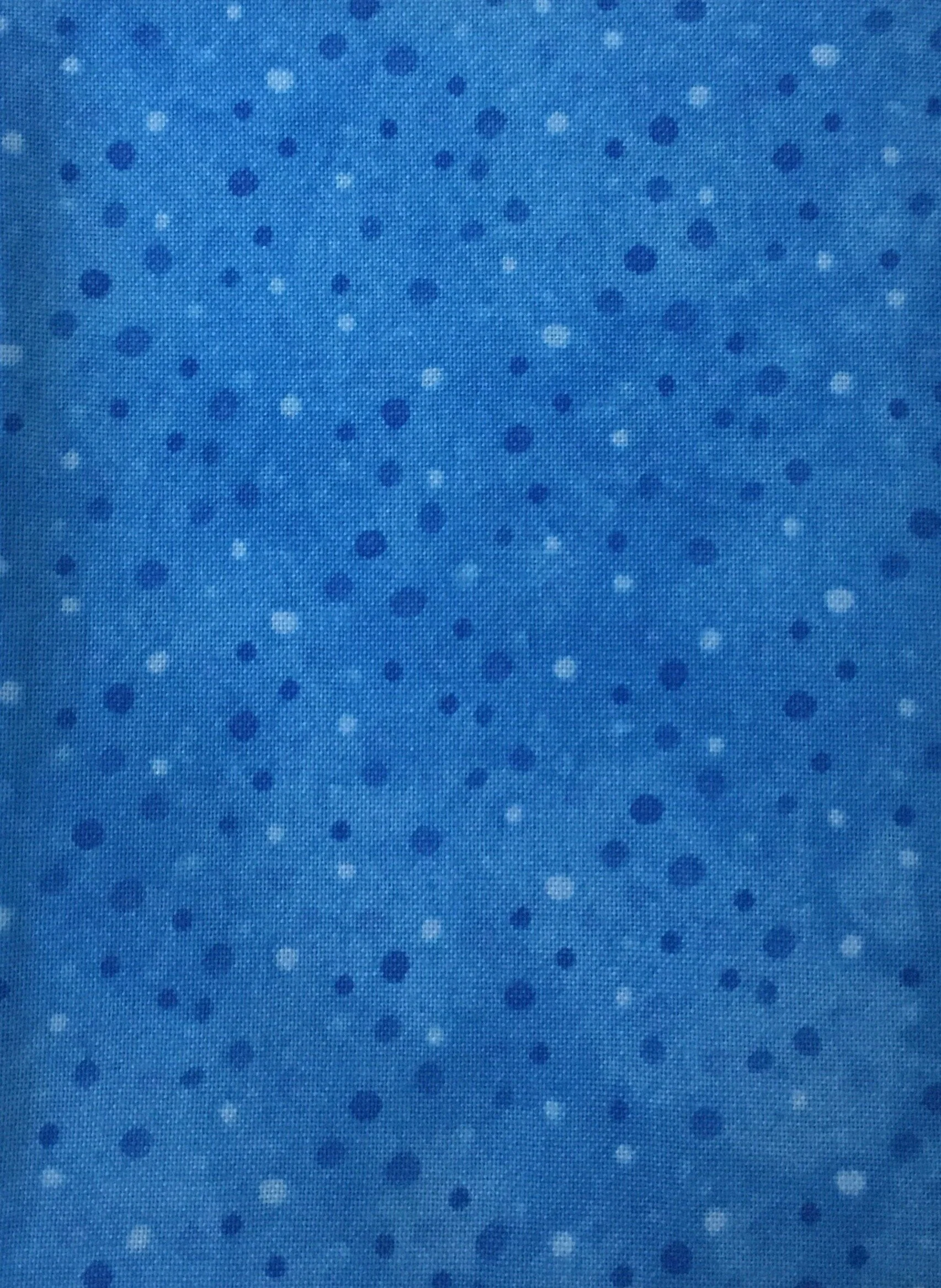 Speckled Blue.jpeg