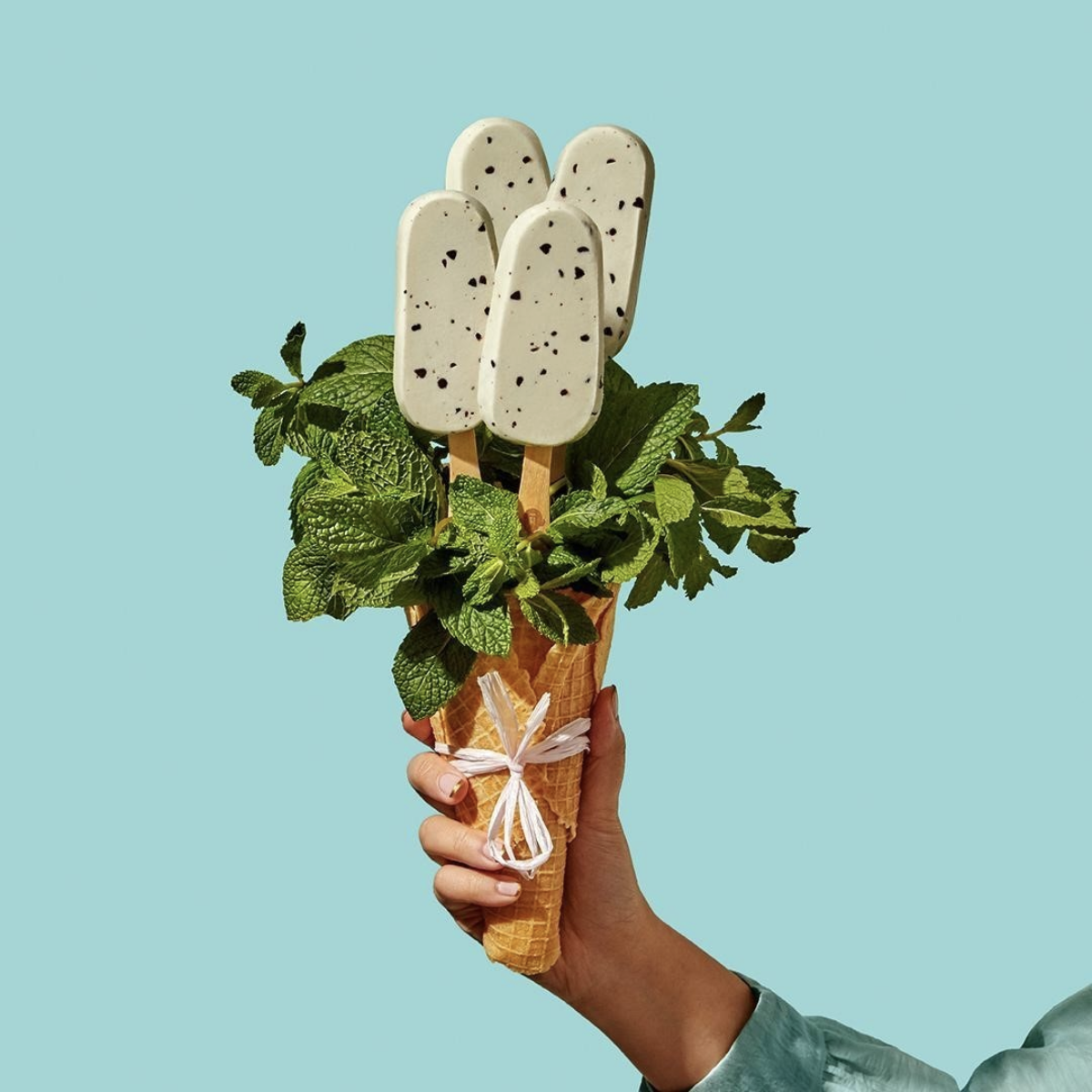 Screen Shot 2020-12-18 at 8.03.22 AM.png