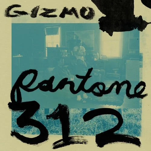Gizmo 'Pantone 312'