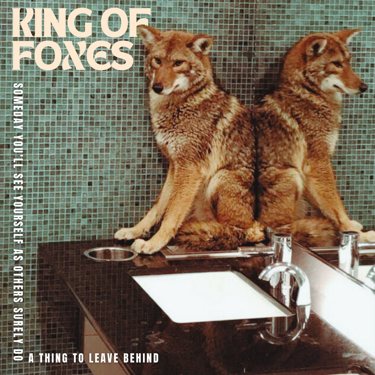 King of Foxes Album 'Someday You’ll See Yourself as Others Surely Do, A Thing to Leave Behind'