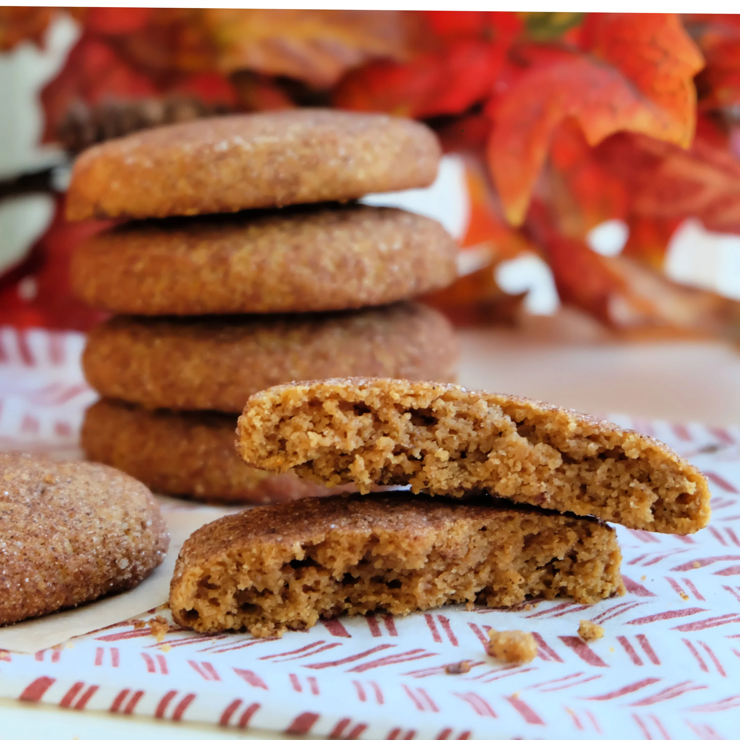 Pumpkin Snickerdoodle 2.jpg