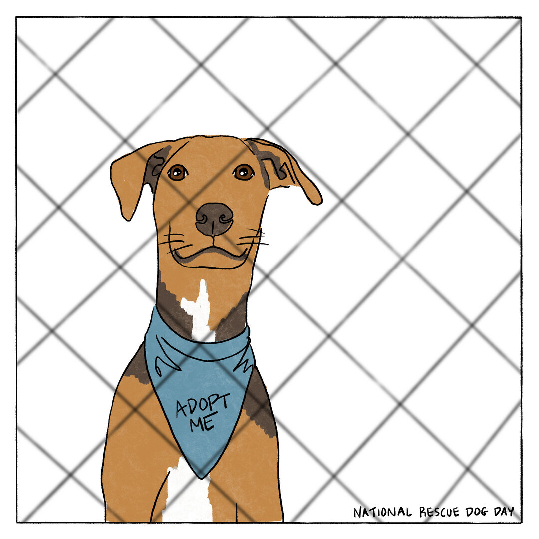 Did ya know at, at Lola &amp; Pear, 20% of the profits from 2 of our books goes to two great rescue dog organizations???​​​​​​​​​​​​​​​​​​​​​​​​​
THE ADVENTURES OF DUKE supports the Atlanta Boxer Rescue and ROSIE TO THE RESCUE supports the Stand Up f
