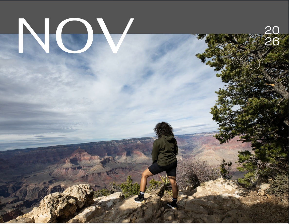 11_Nov 2026 Image.png