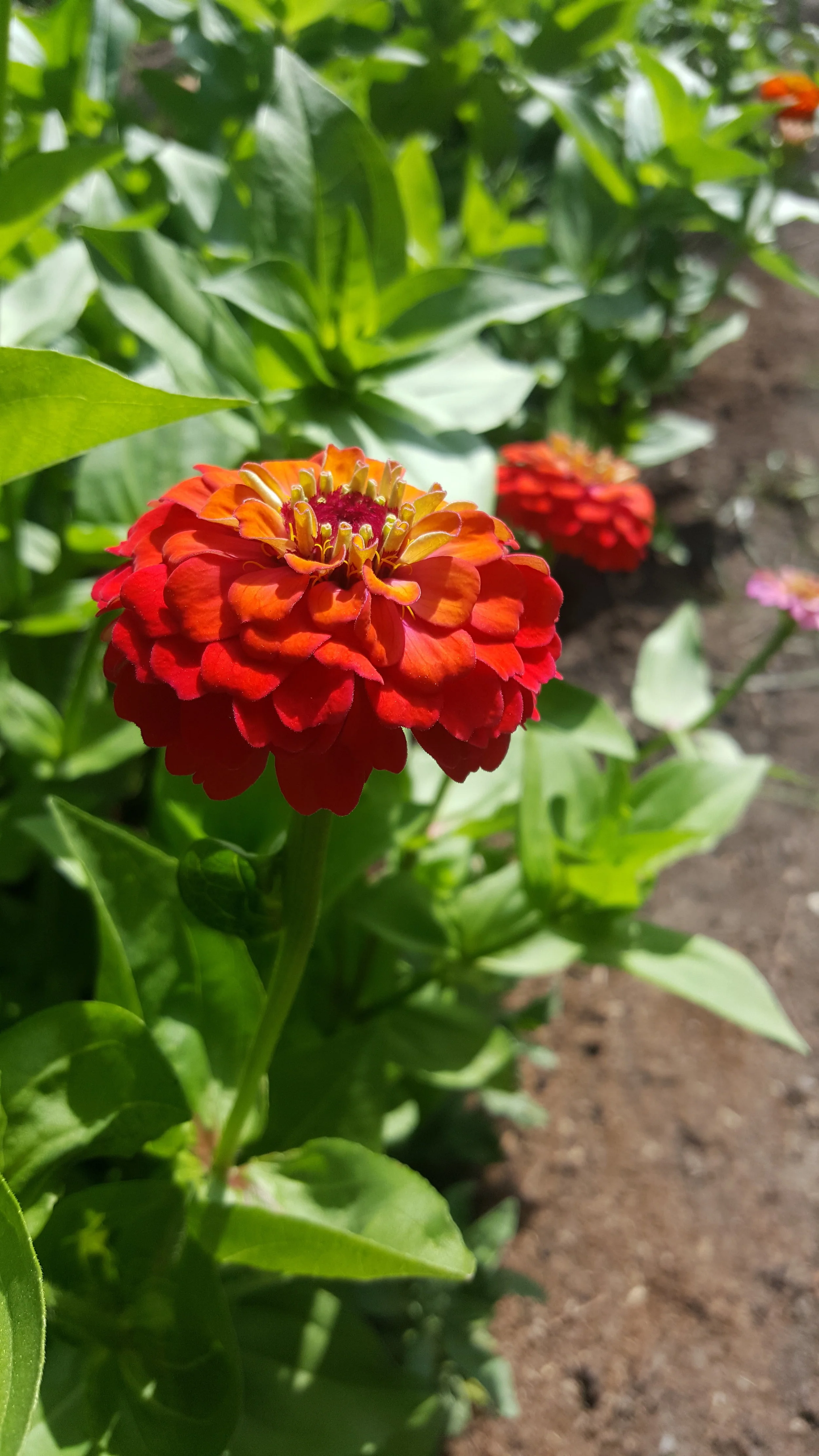 20180726_101943.jpg