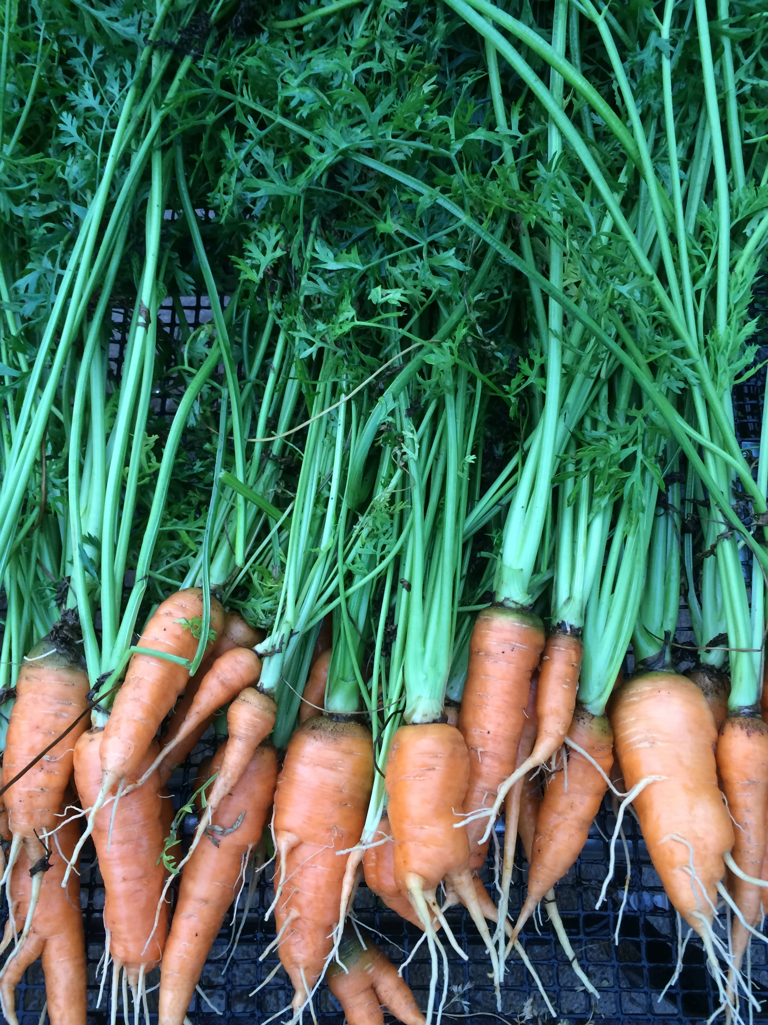 2E5E4B34-BF56-46B4-A4C9-4BE083C694FA