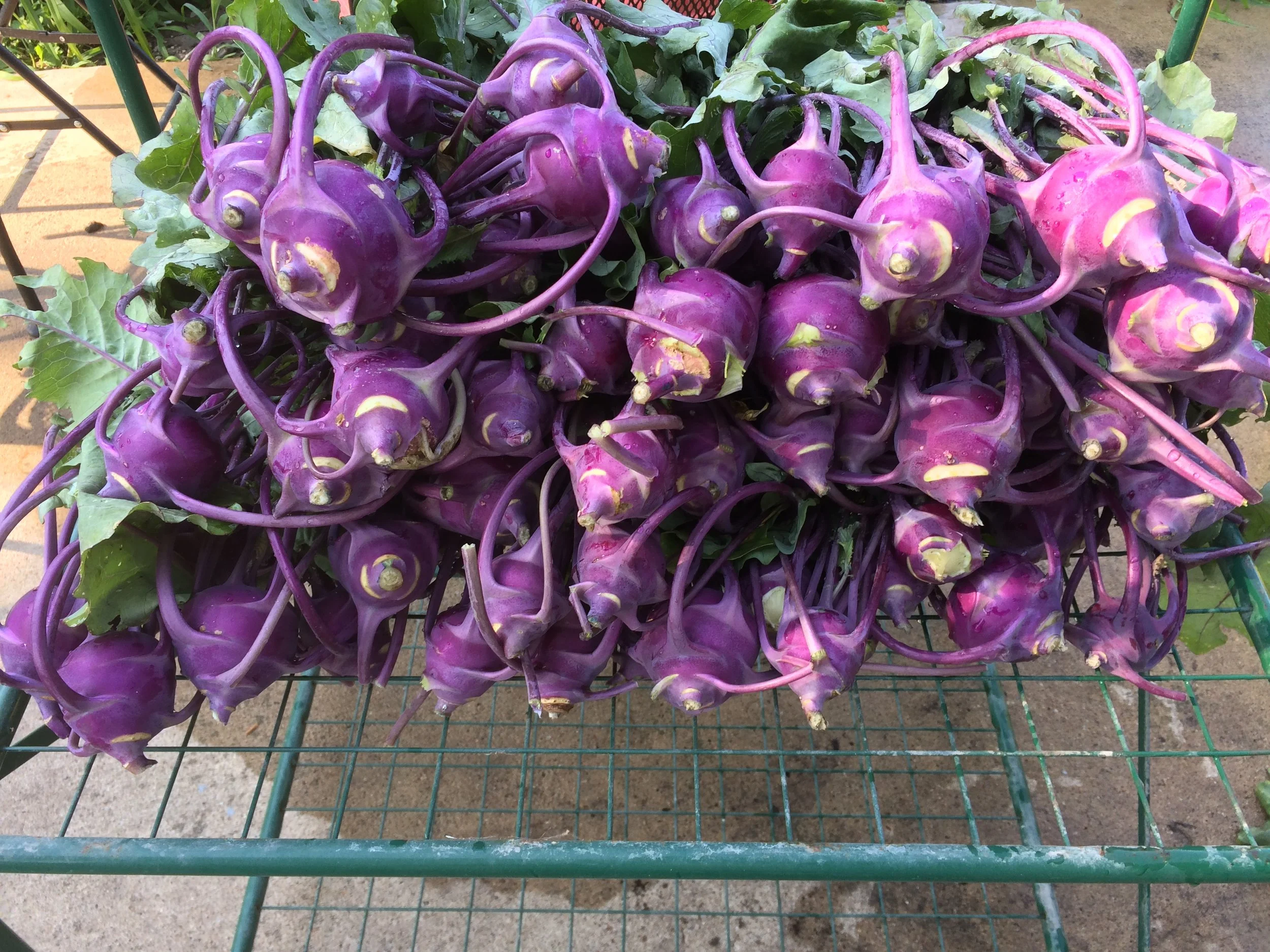 E89BFC56-9E70-4851-985C-543FDFBCD754