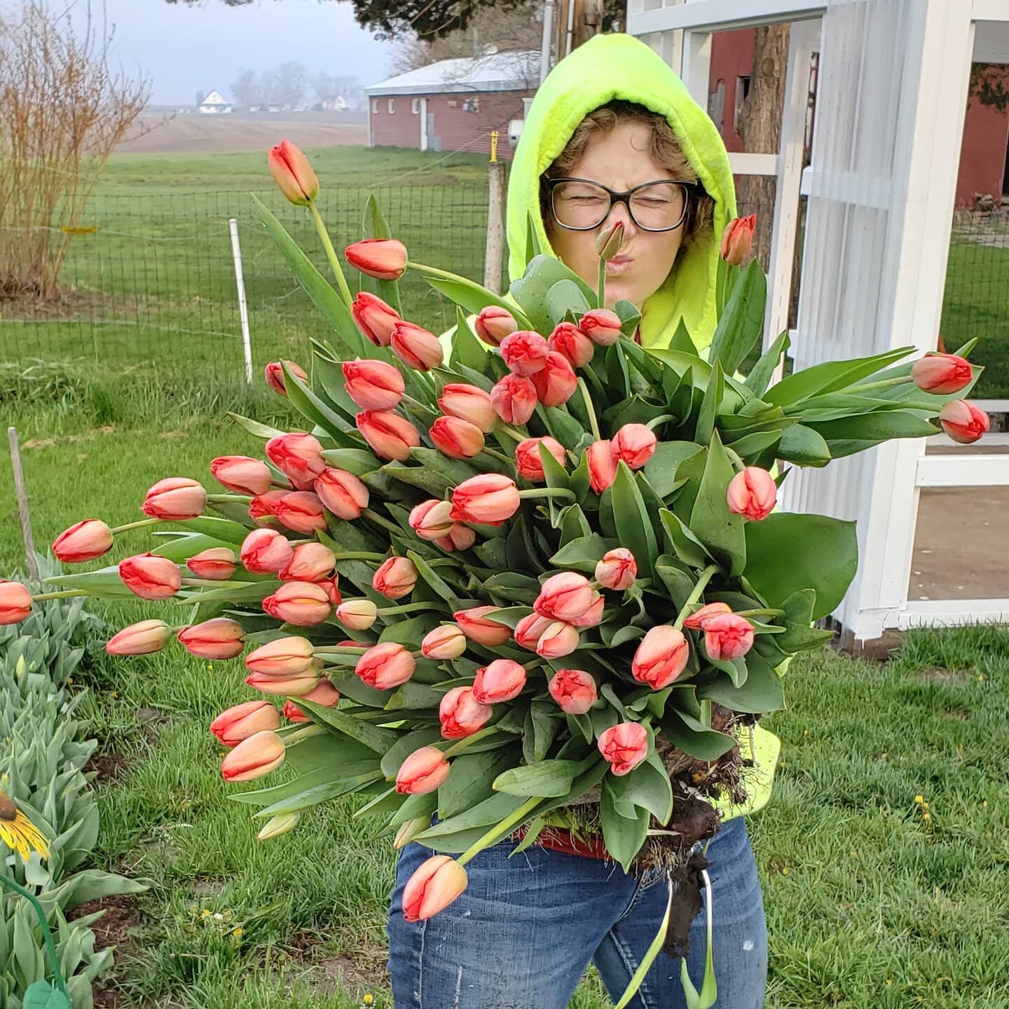 We're inching closer to the 'wake up and pull thousands of tulips' time.