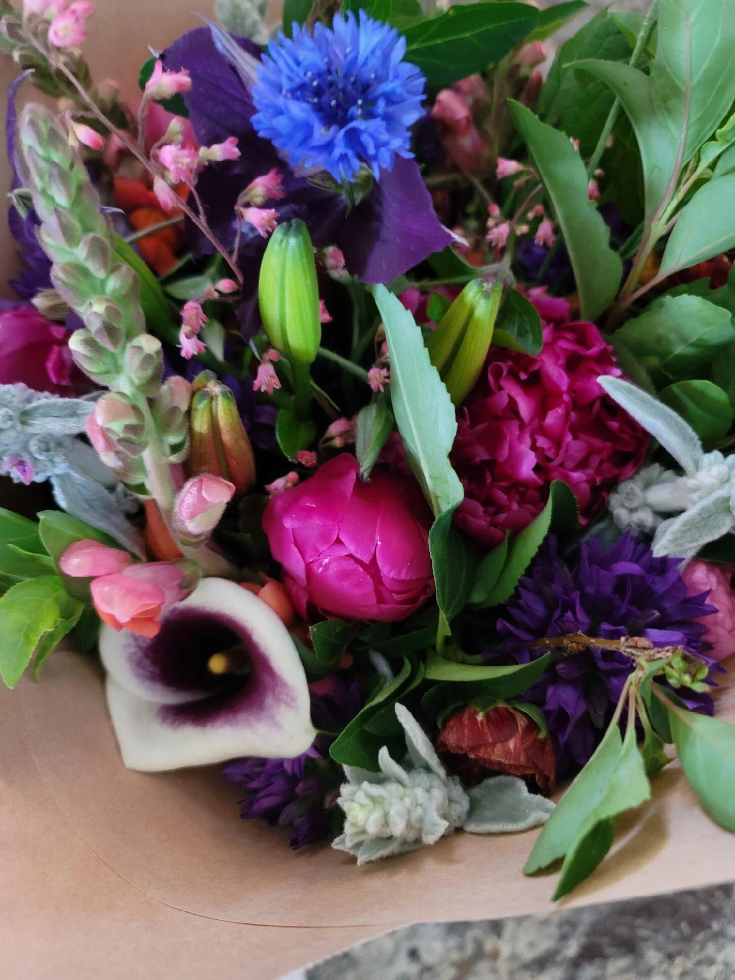 B9A91AEB-3FEB-46F5-859A-423616FACD17