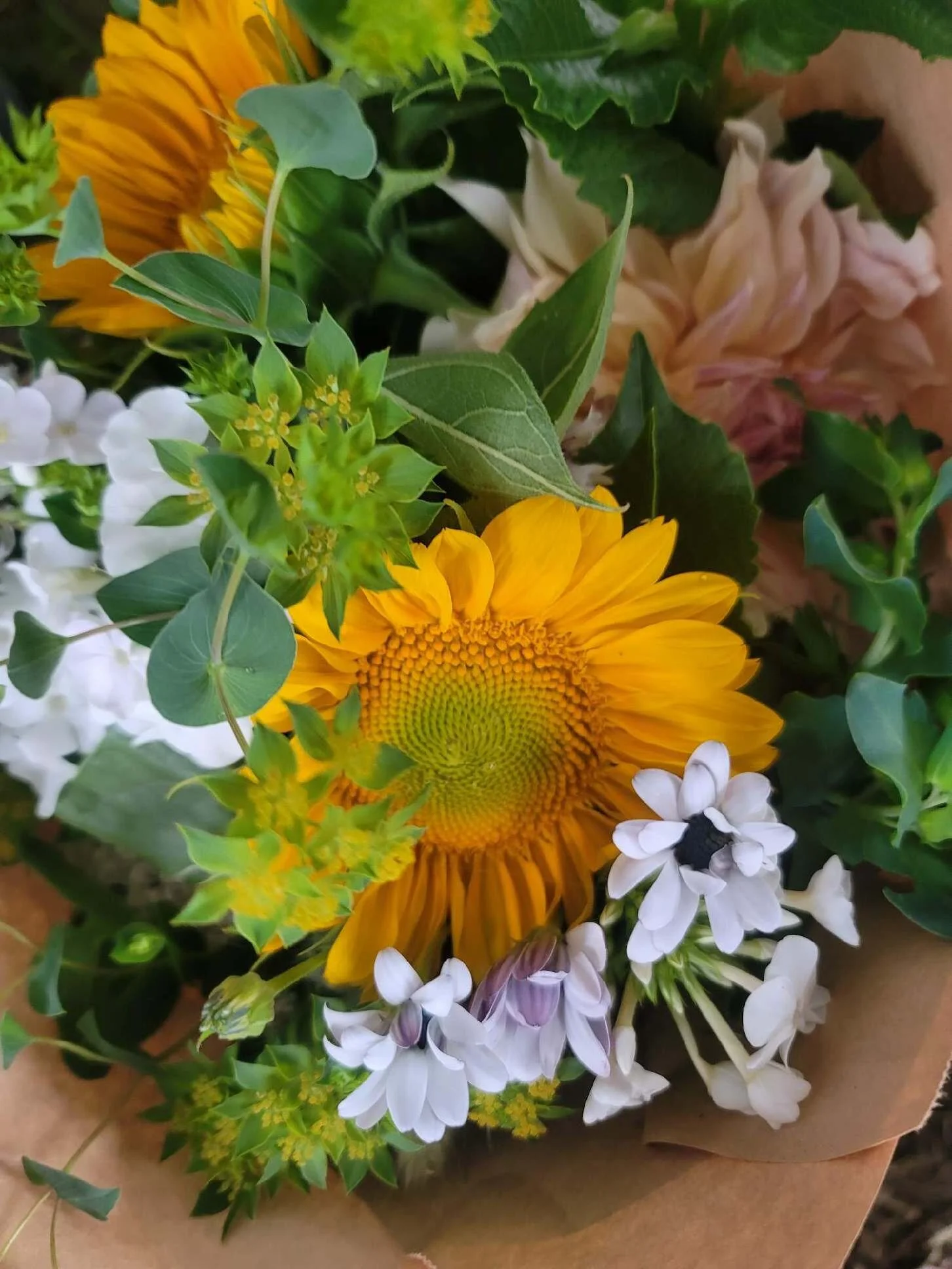 EA0B8DB1-1F65-4E2D-ACD7-EC84C3206121